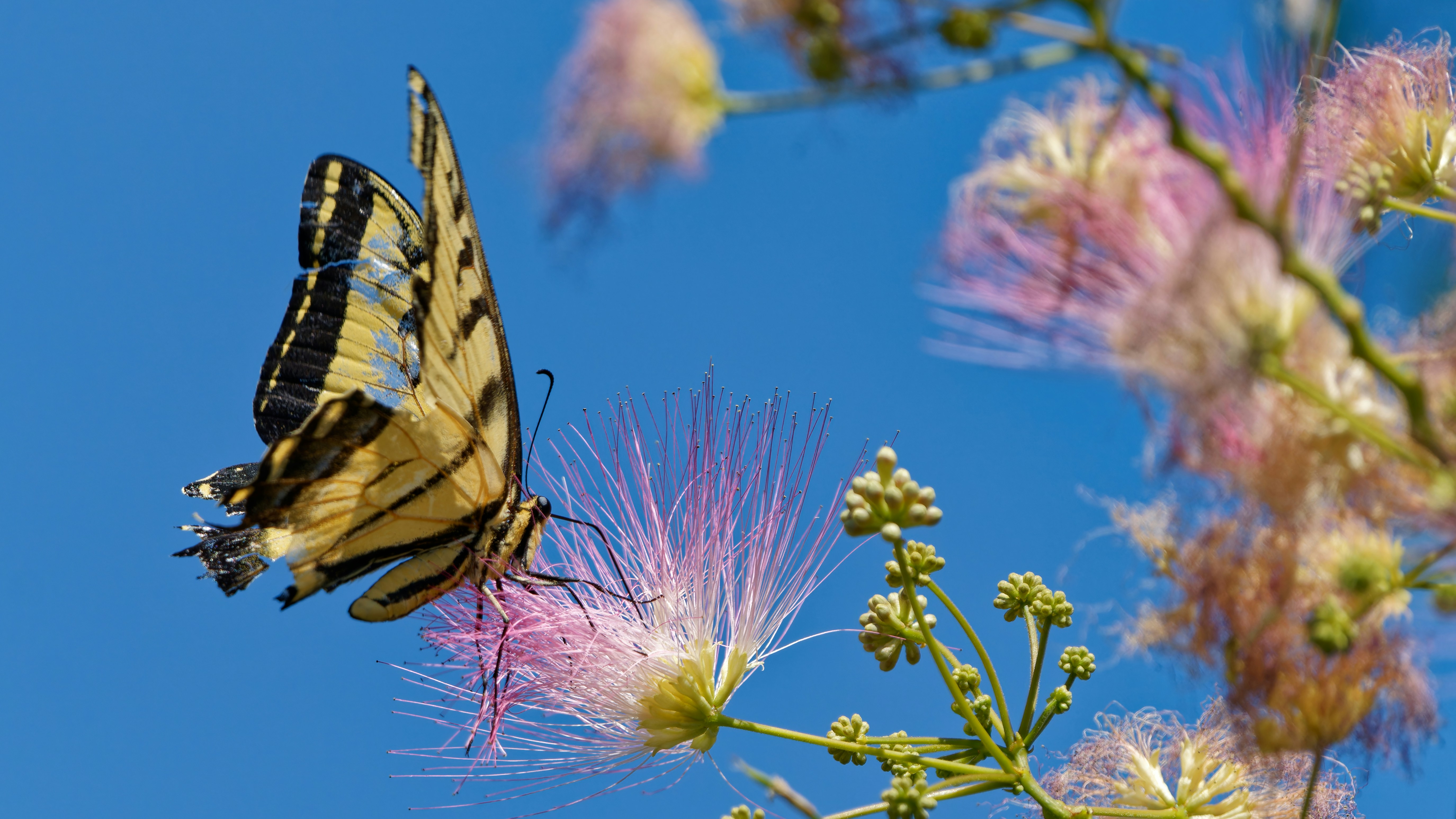 알레르기 비염 치료방법