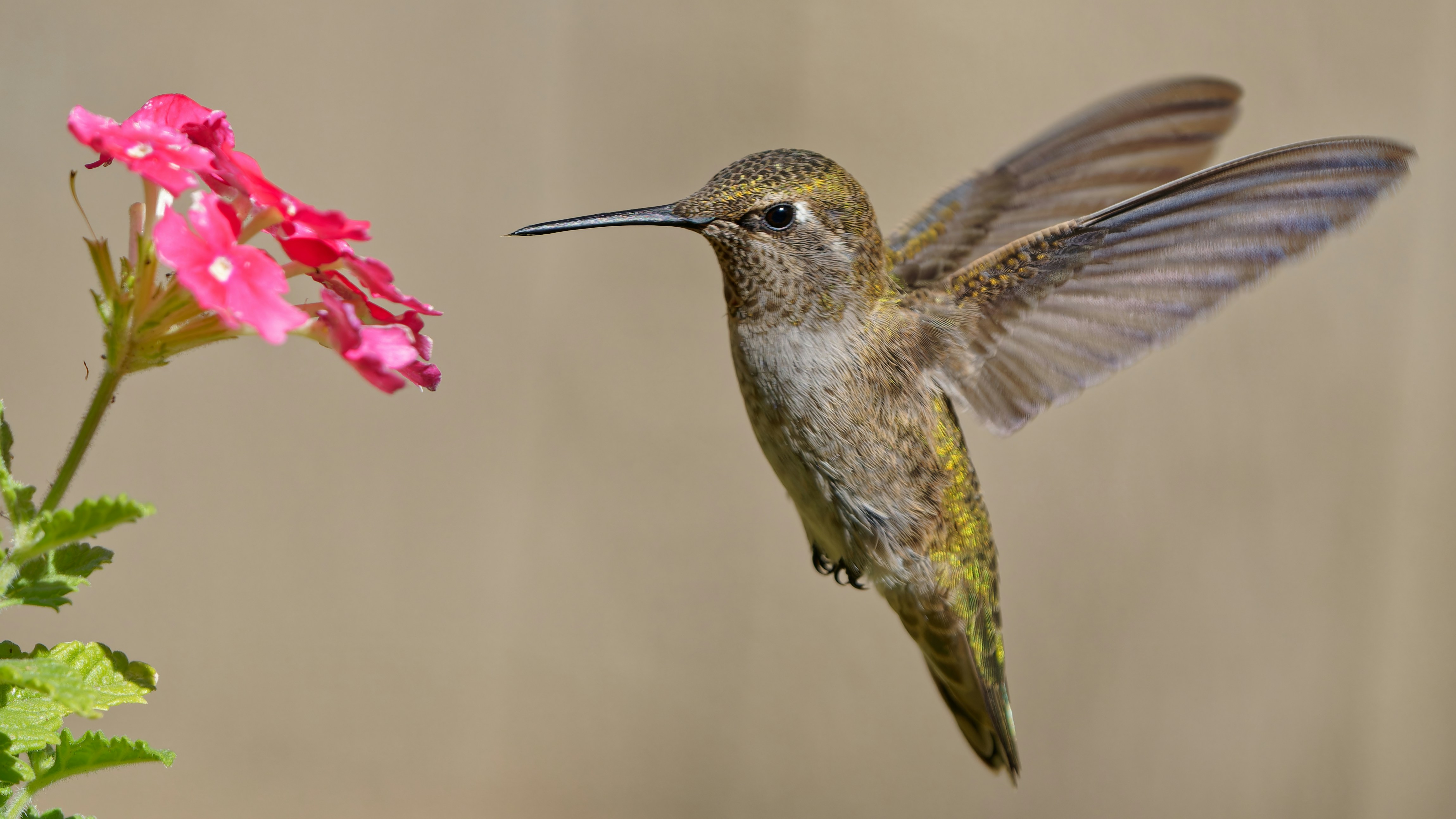 Photo by patrickbigelow_zoom_in