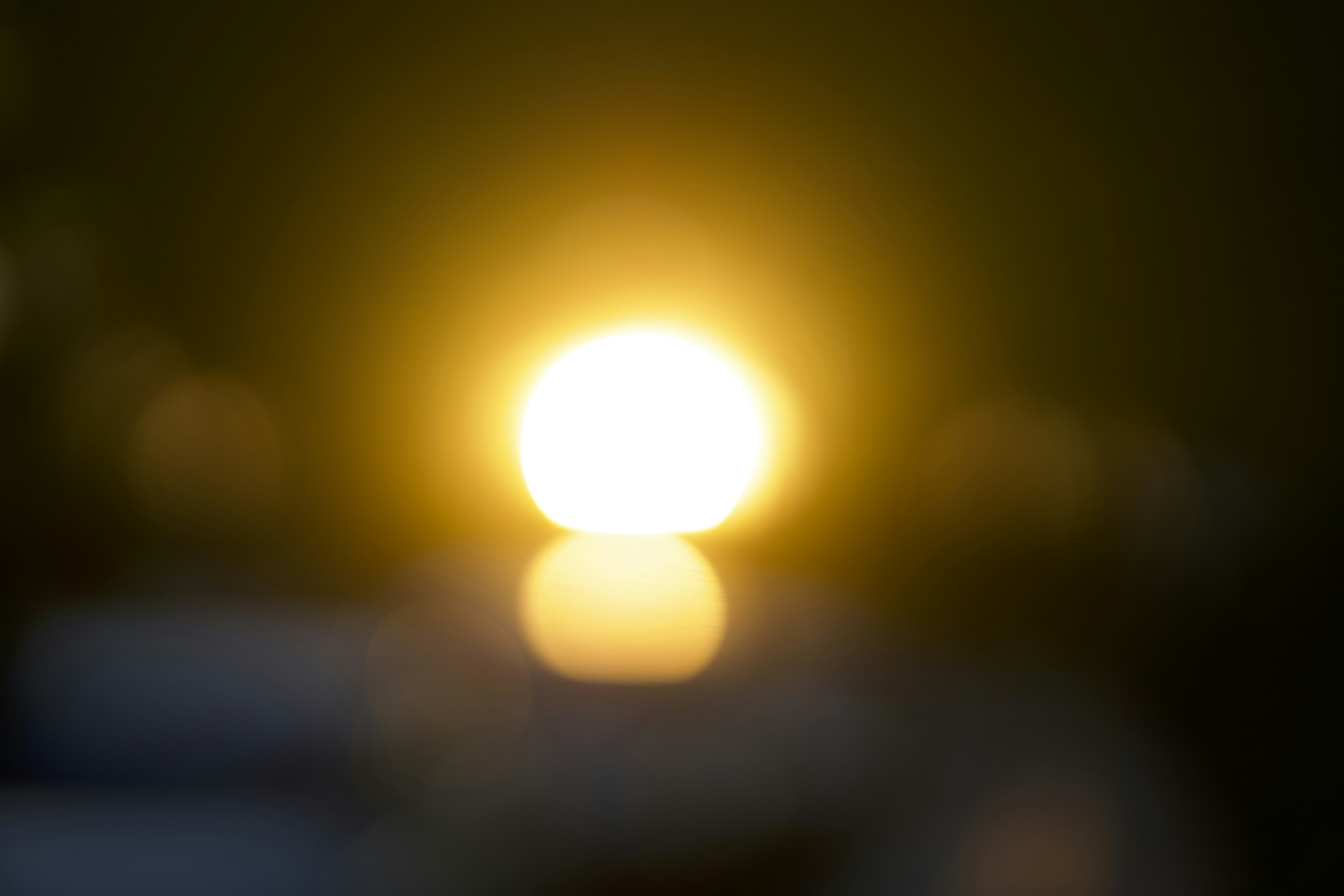 Photo by mehrdadmanzour