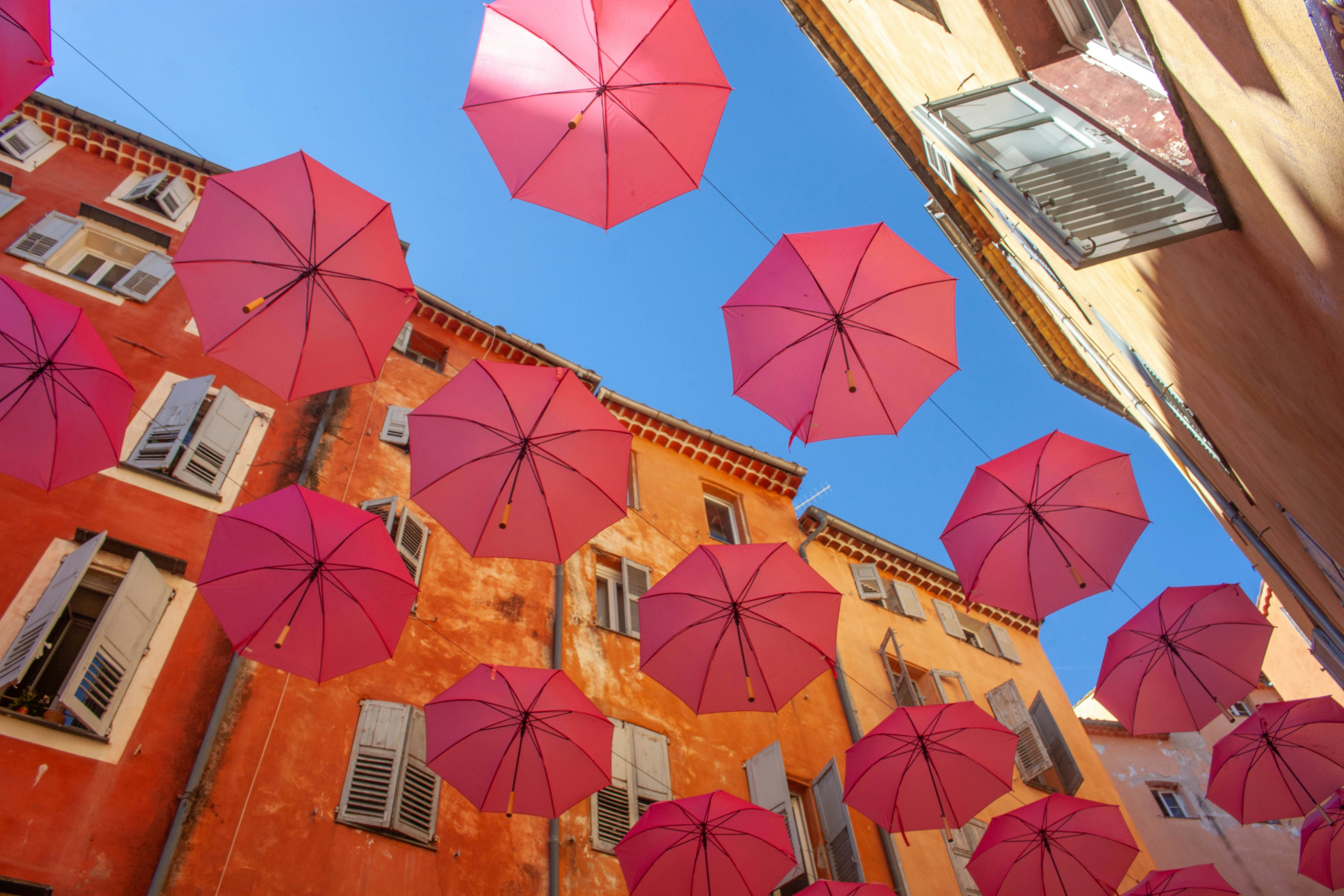 Pink umbrellas suspended above a street