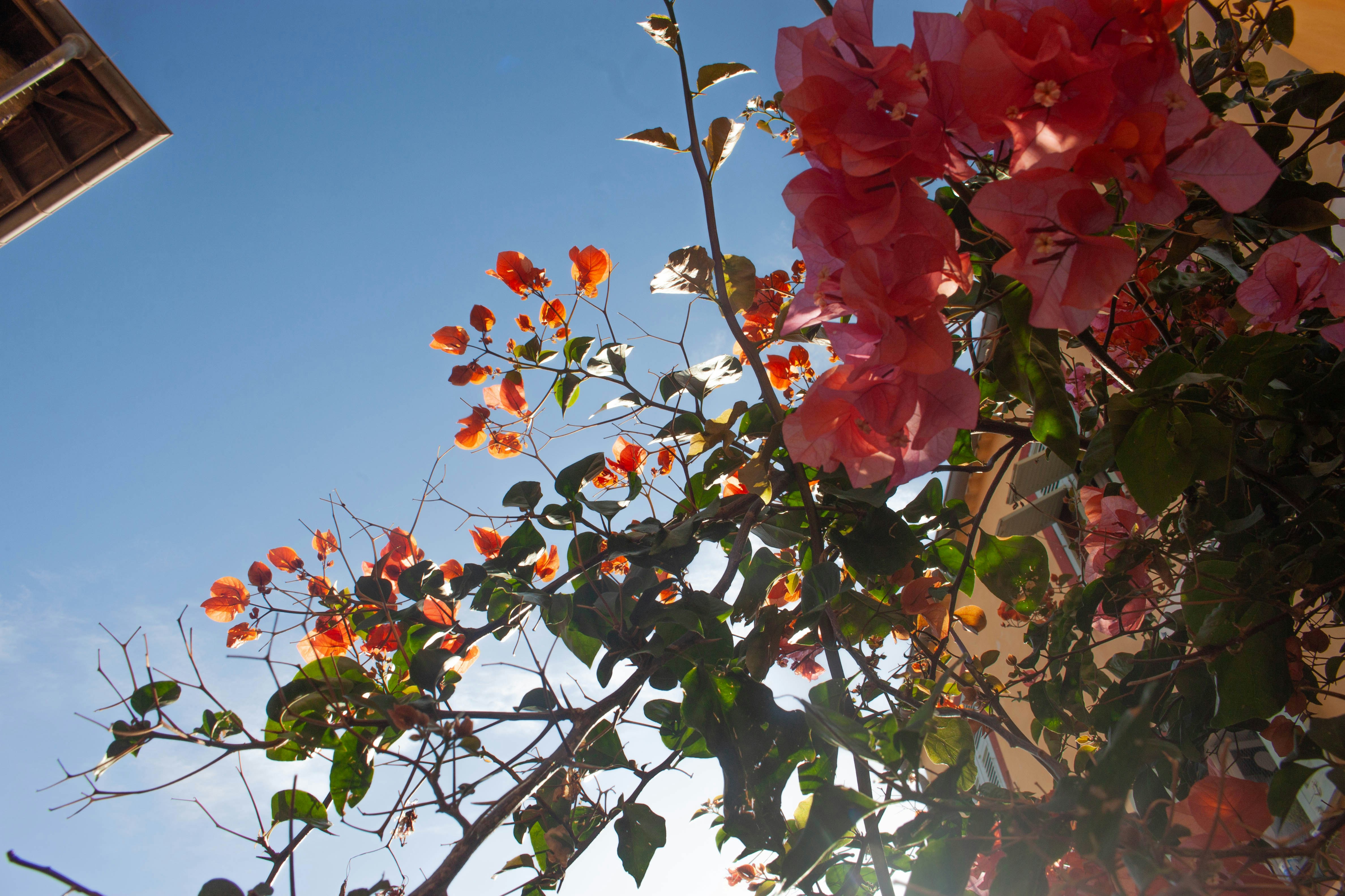 Photo by kamillaisalieva