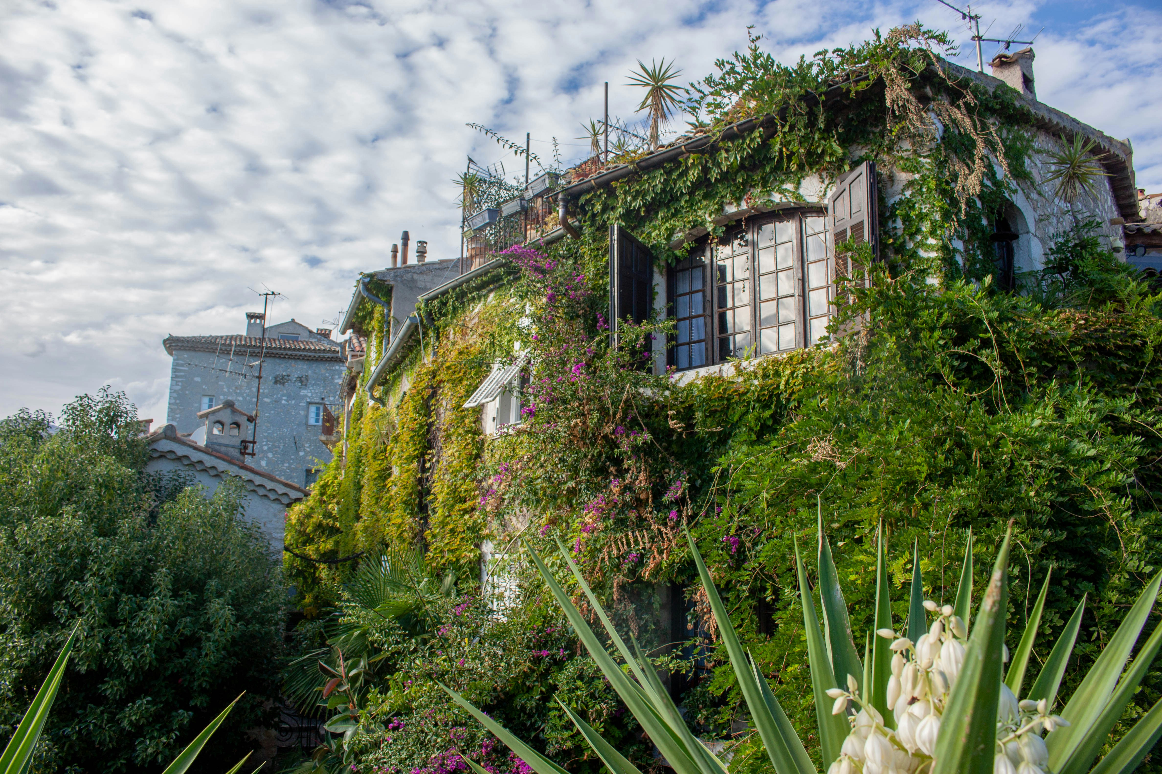 Photo by kamillaisalieva