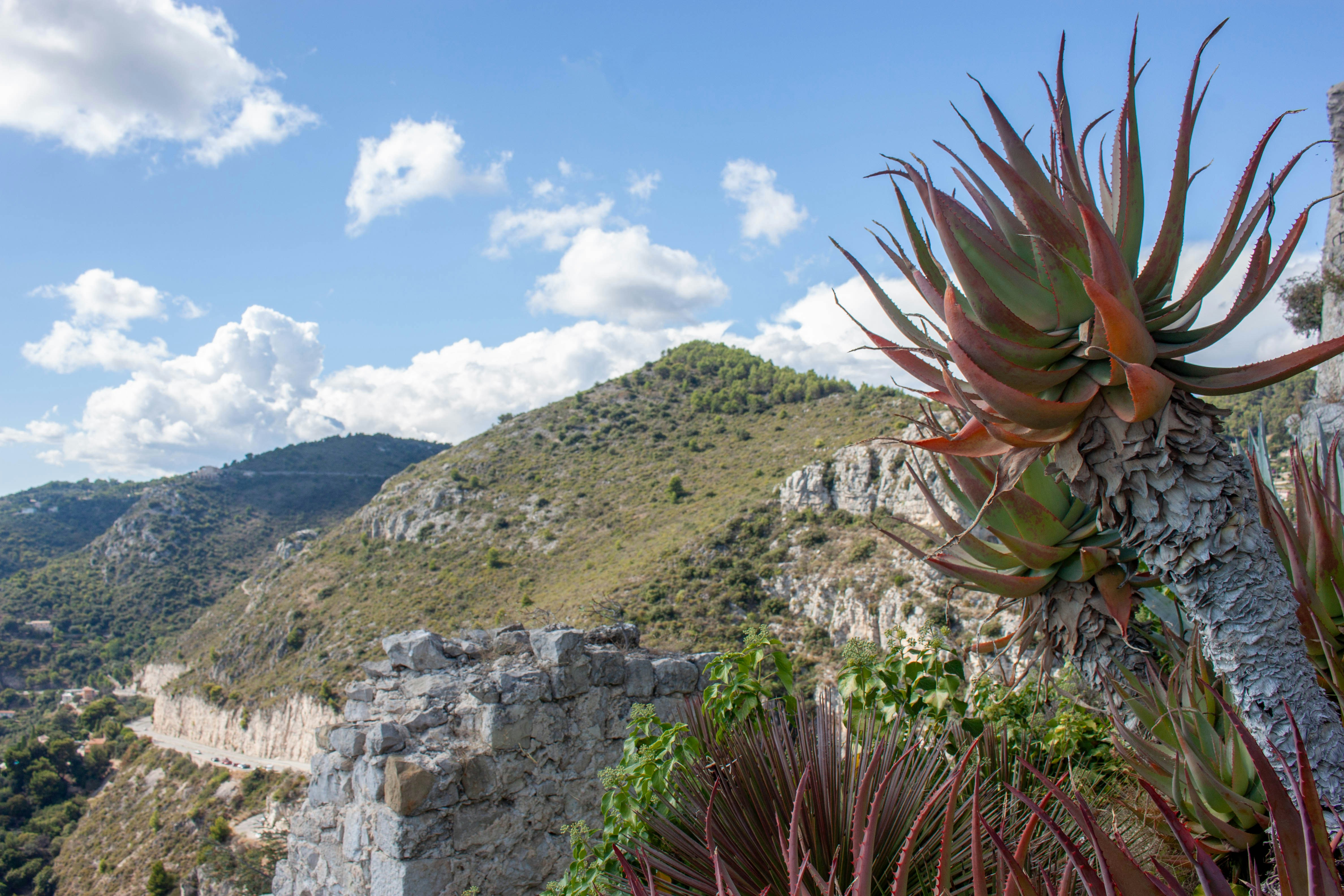 Photo by kamillaisalieva