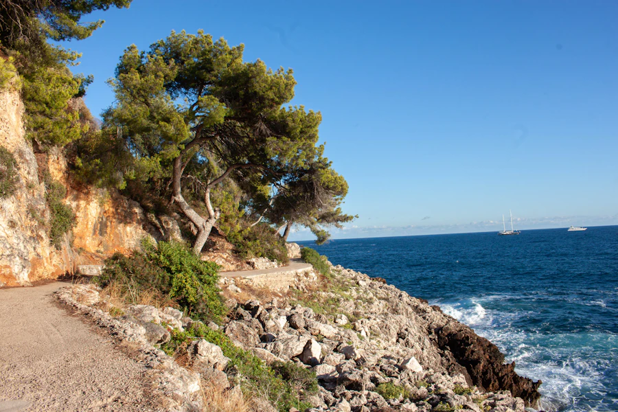 Camí costaner amb arbres i mar mediterrani, zona de Tarragona