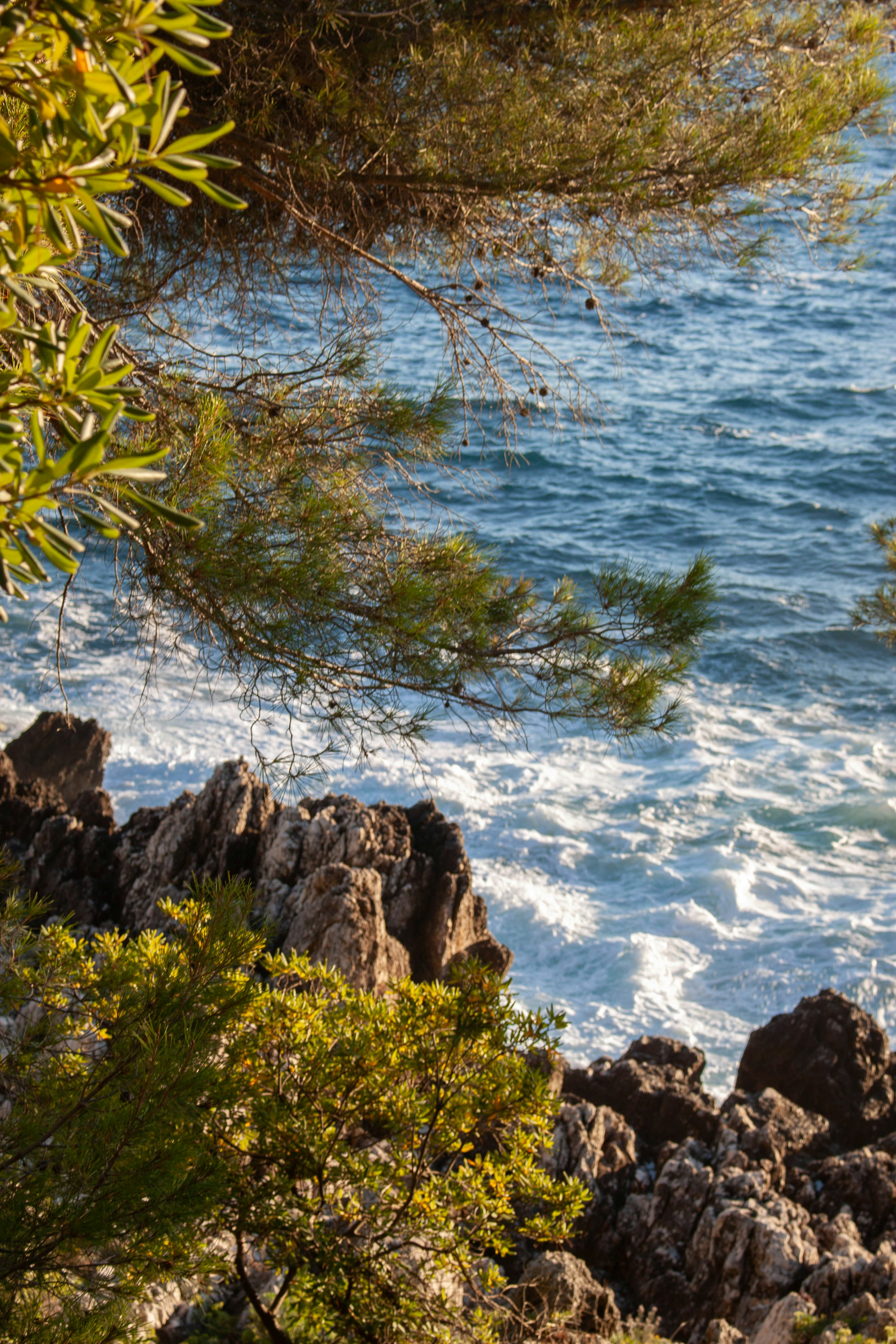 Photo by kamillaisalieva