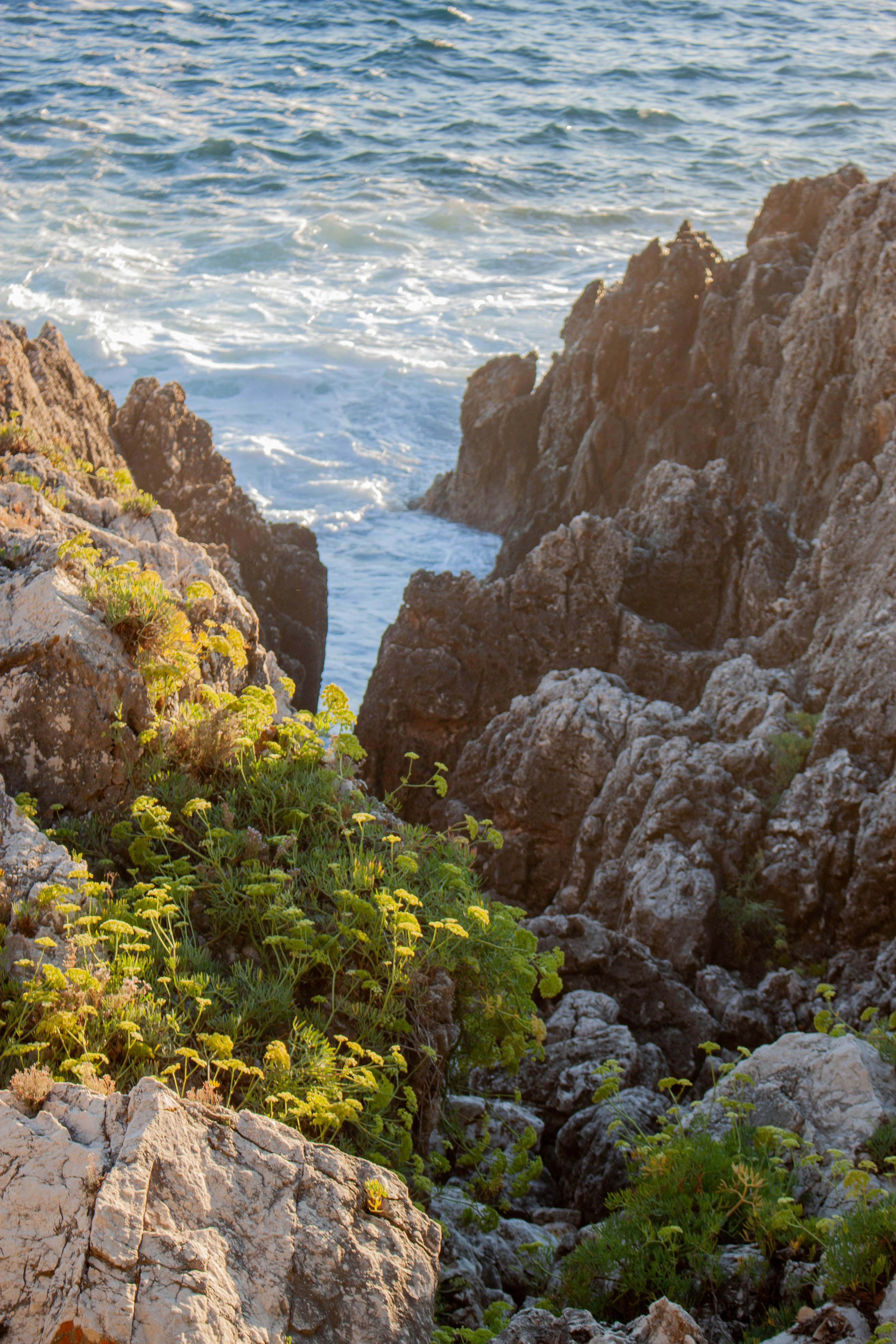 Photo by kamillaisalieva