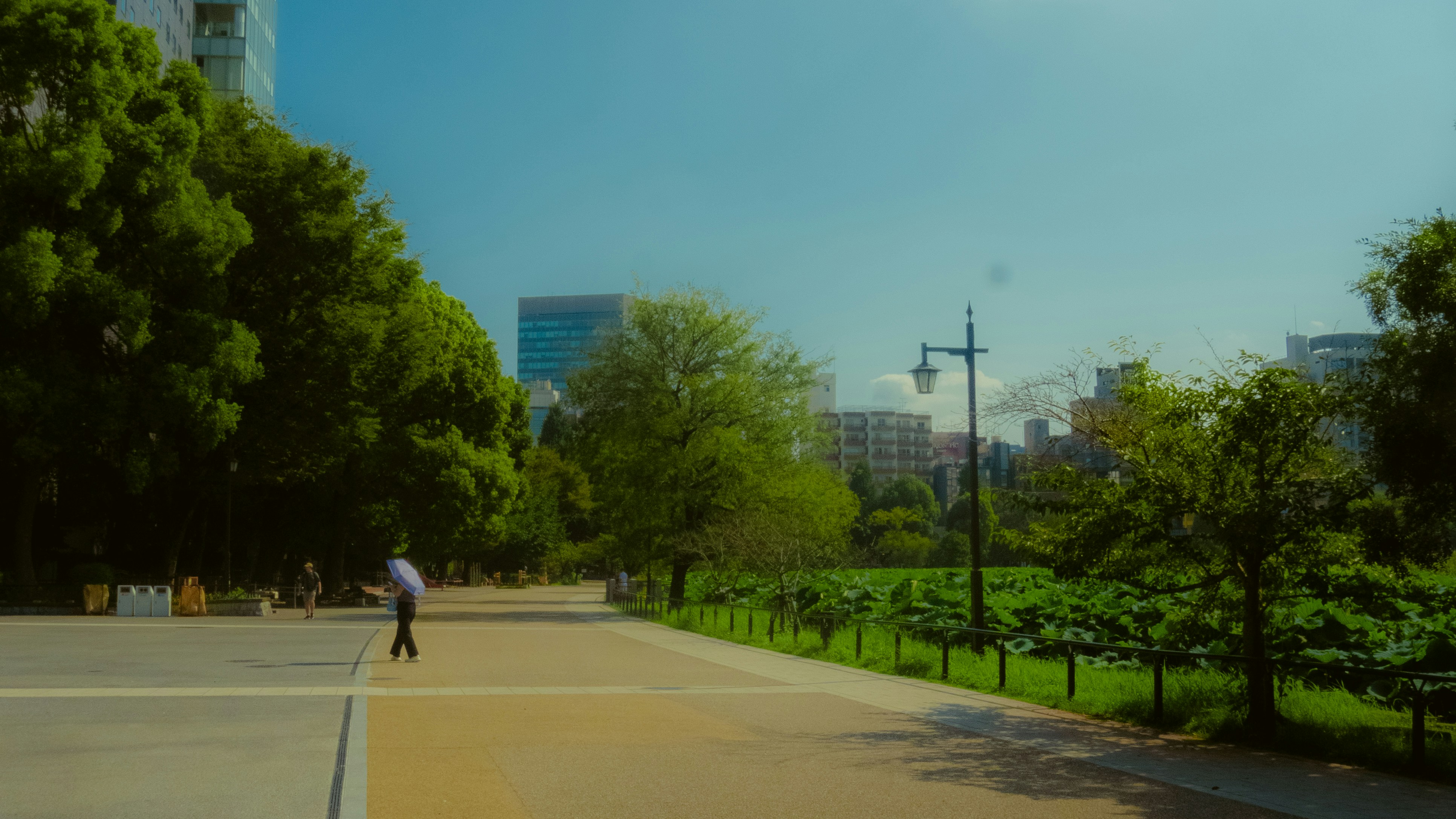 A person walking on a path in a park.