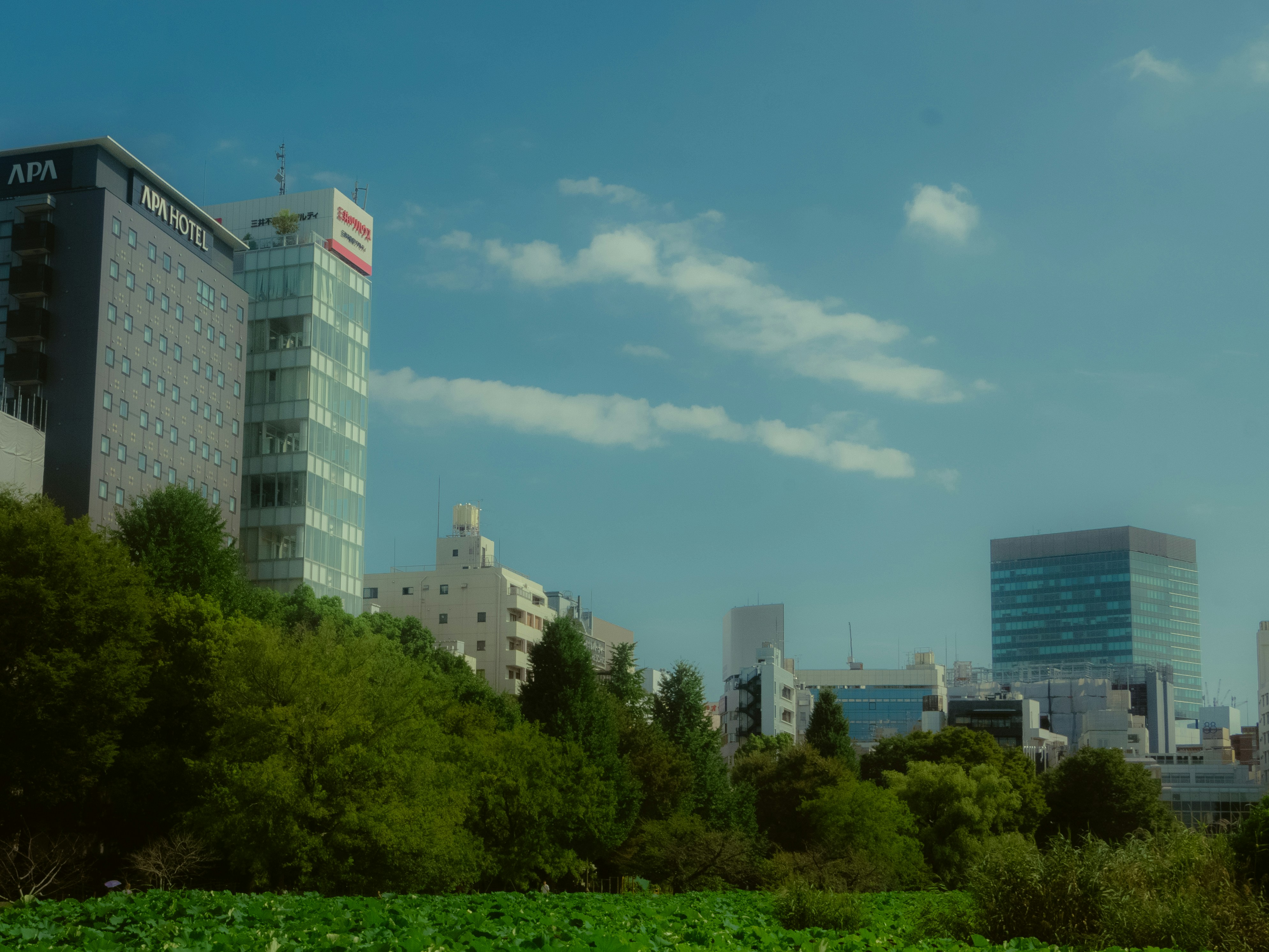 Modern buildings and green trees under a blue sky.