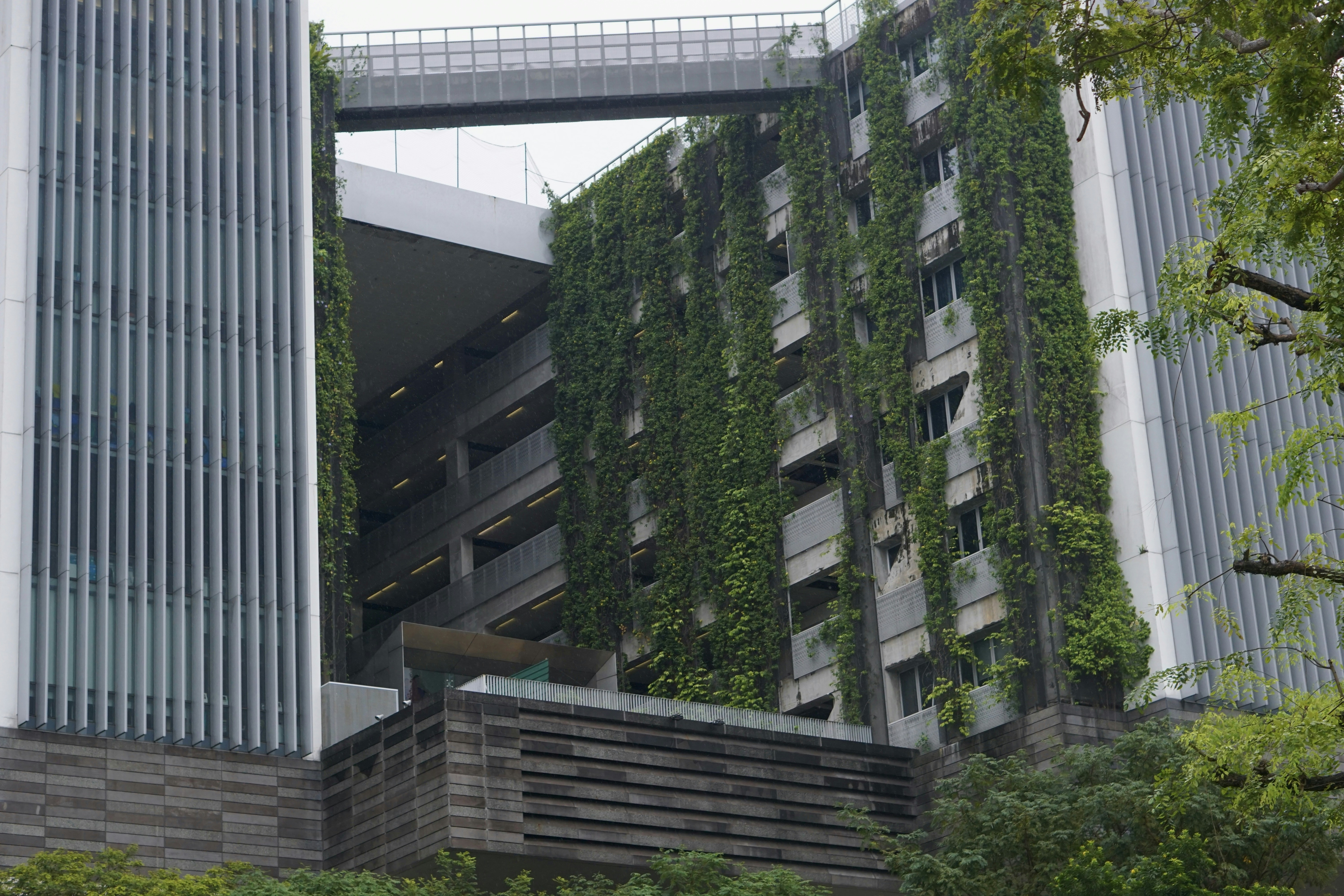 Modern building with vertical green gardens
