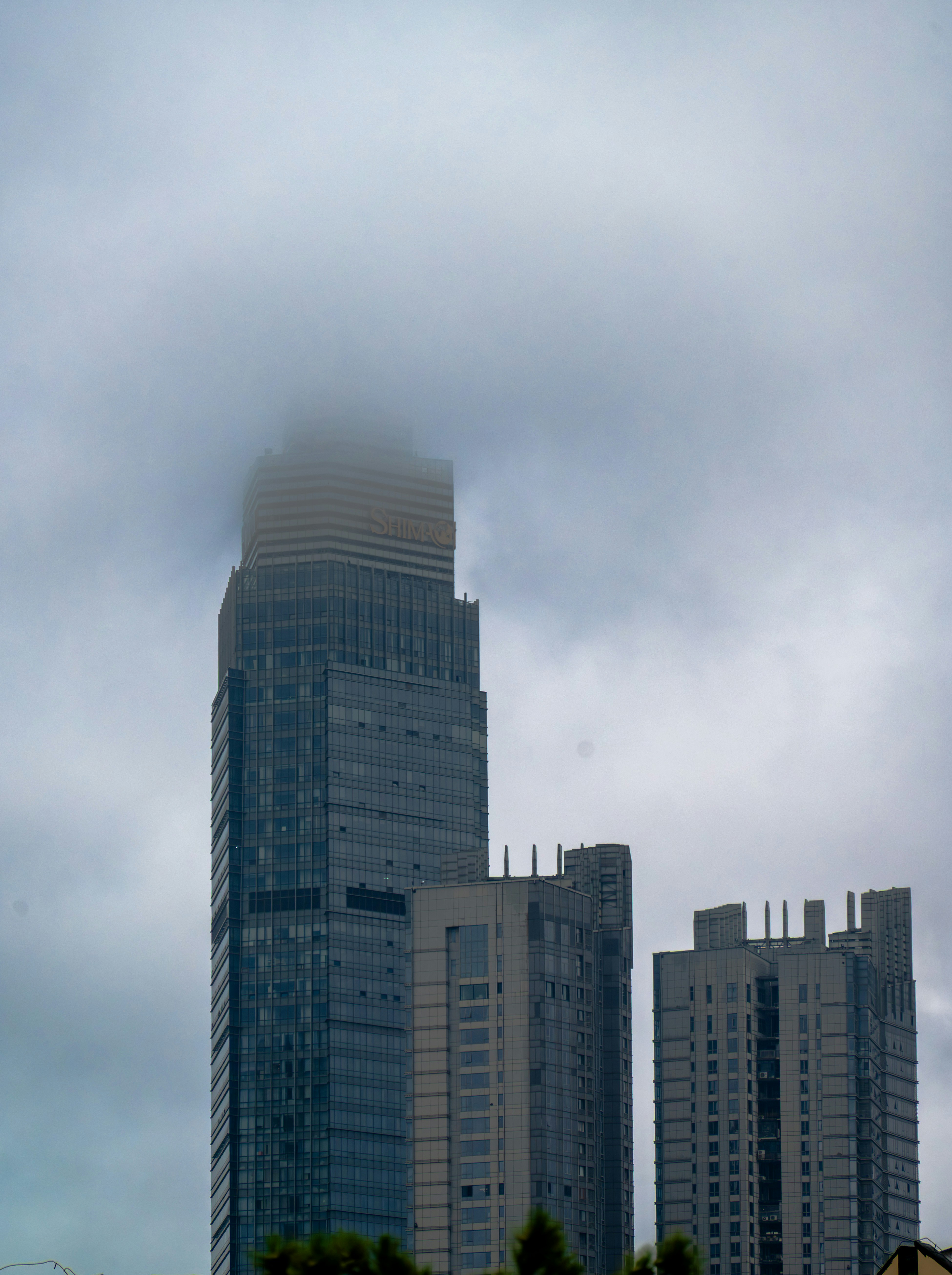 Photo by excellentcx