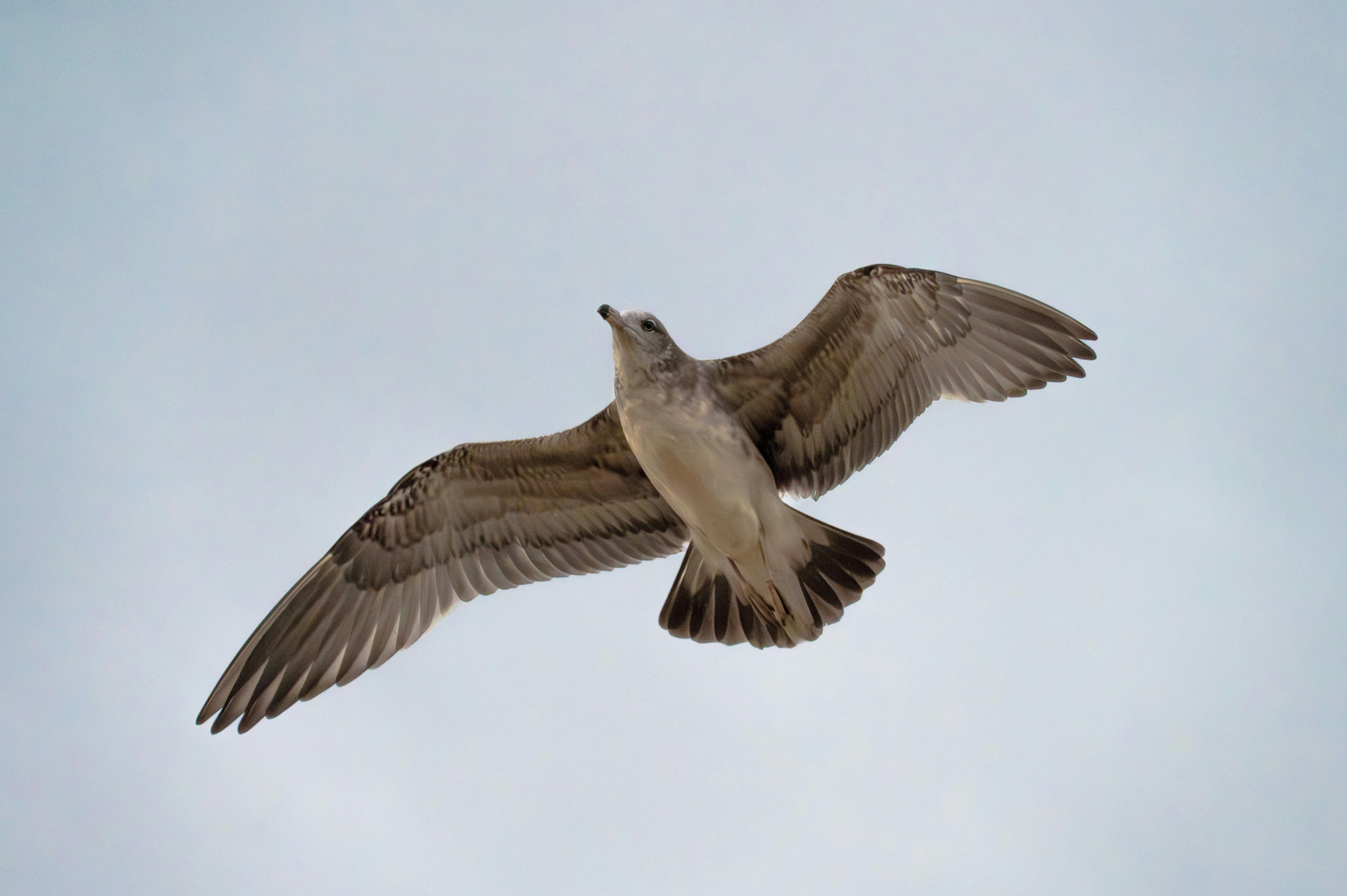 Photo by excellentcx