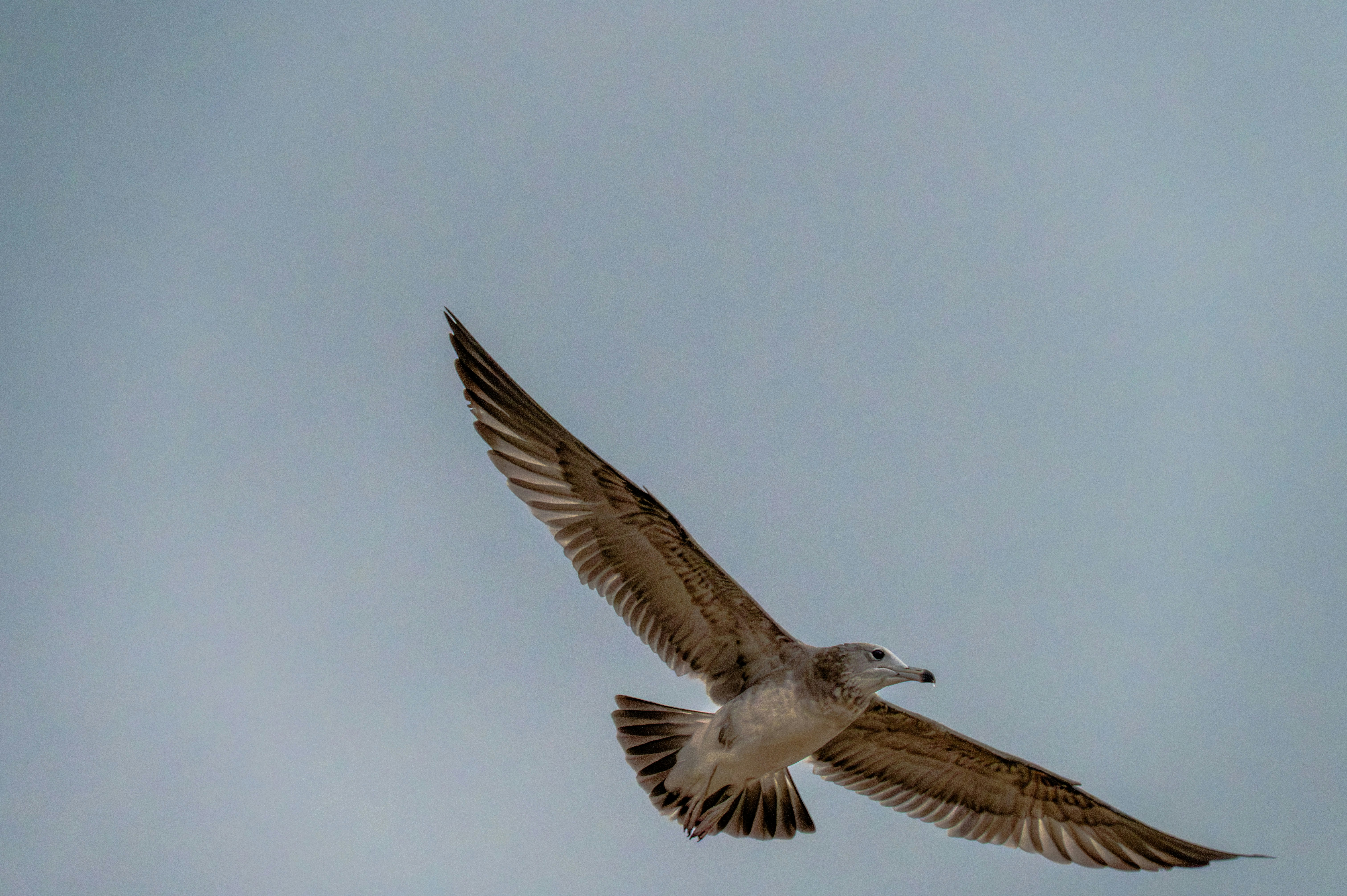 Photo by excellentcx