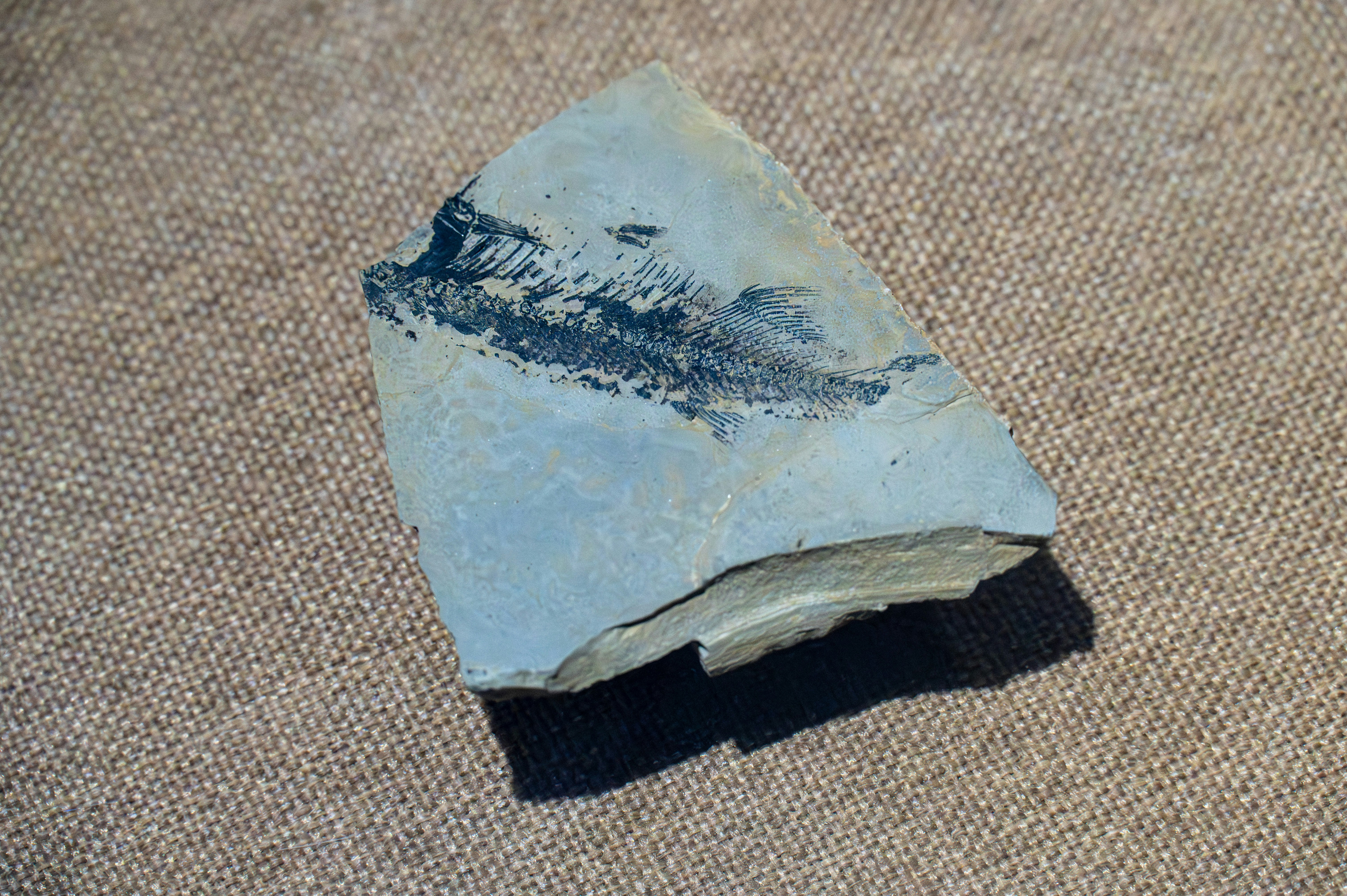 Photo by excellentcx