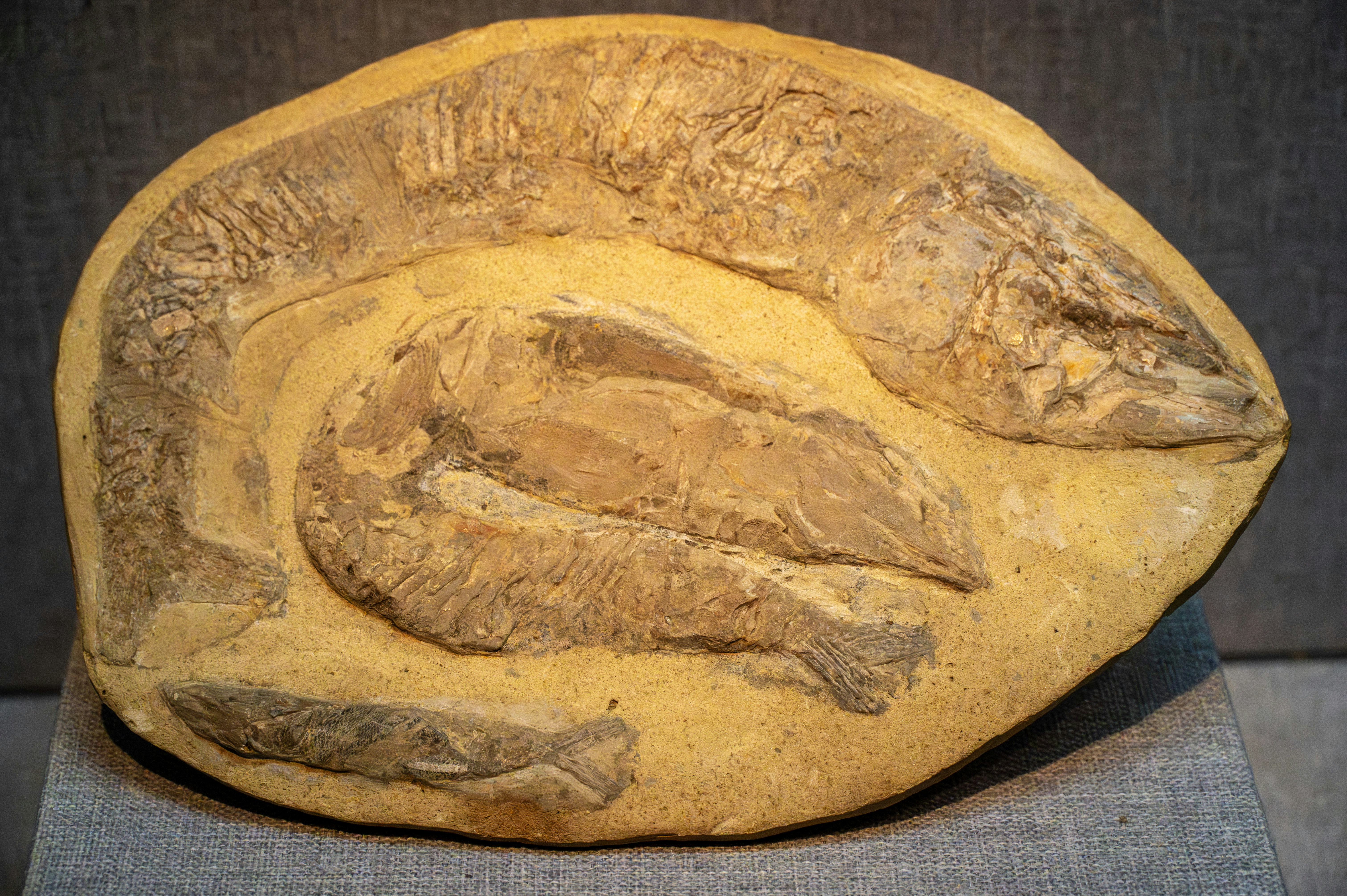 Photo by excellentcx