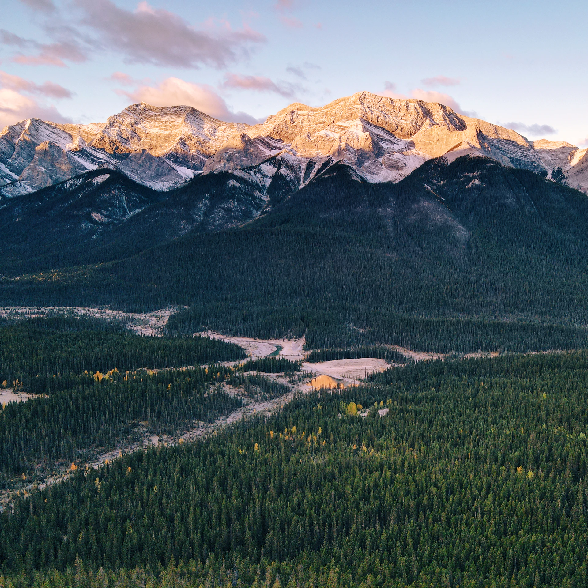 Snow-capped mountains overlooking a dense evergreen forest