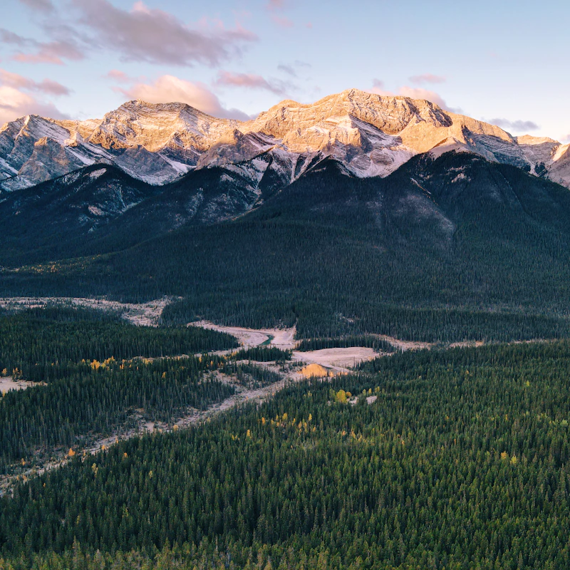 Snow-capped mountains above a dense evergreen forest