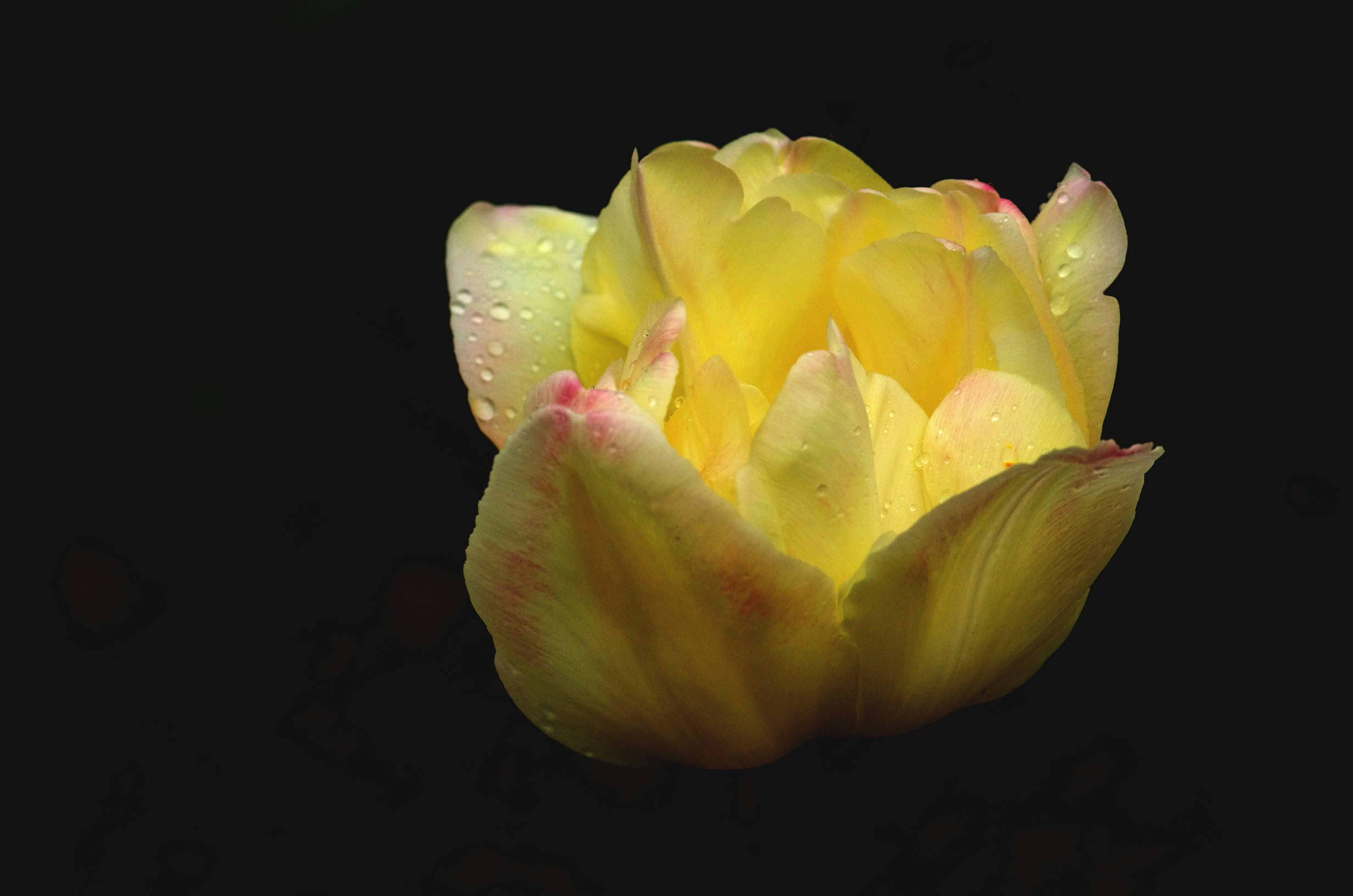 Photo by adorehimphotography