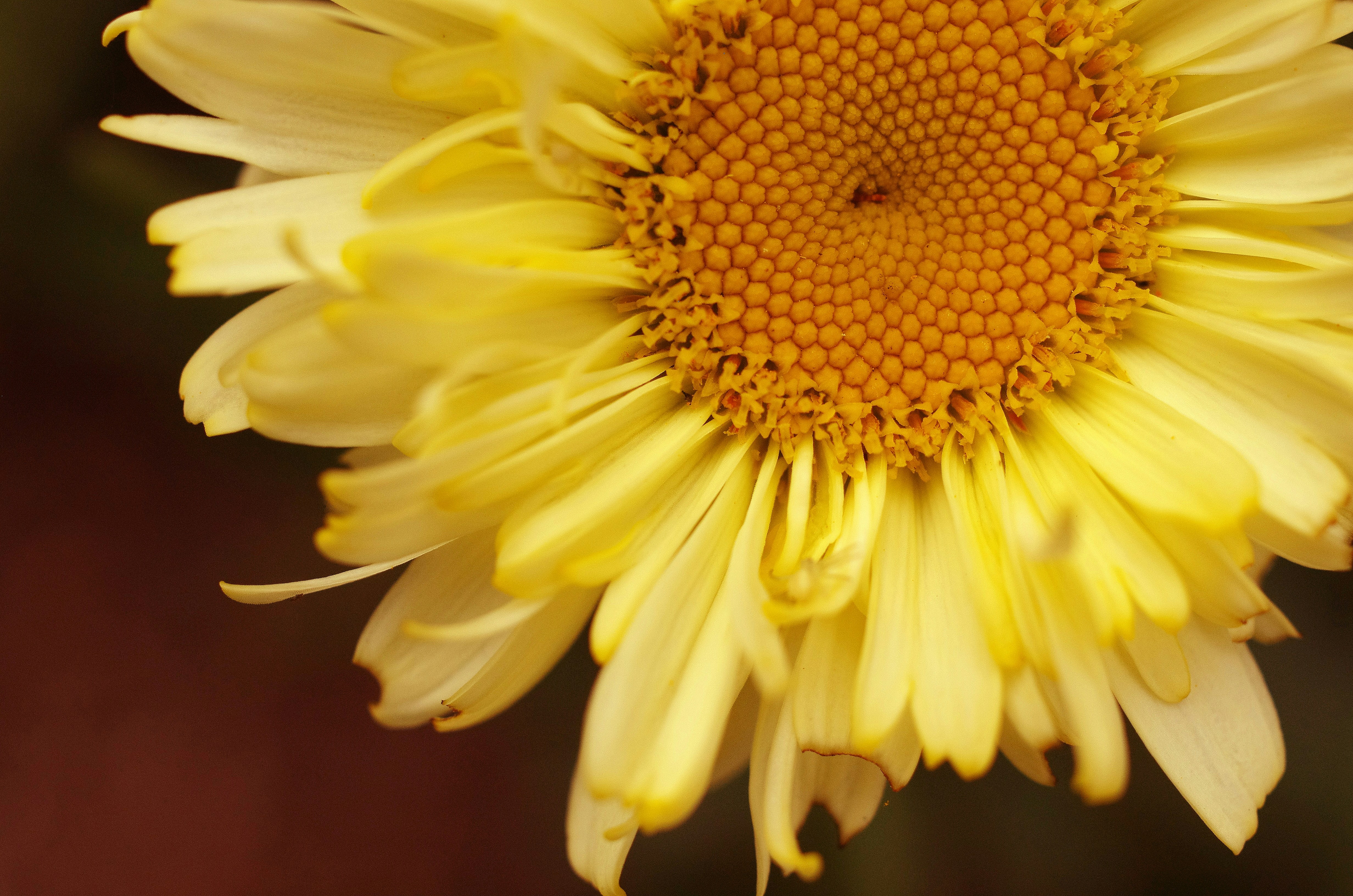 Photo by adorehimphotography