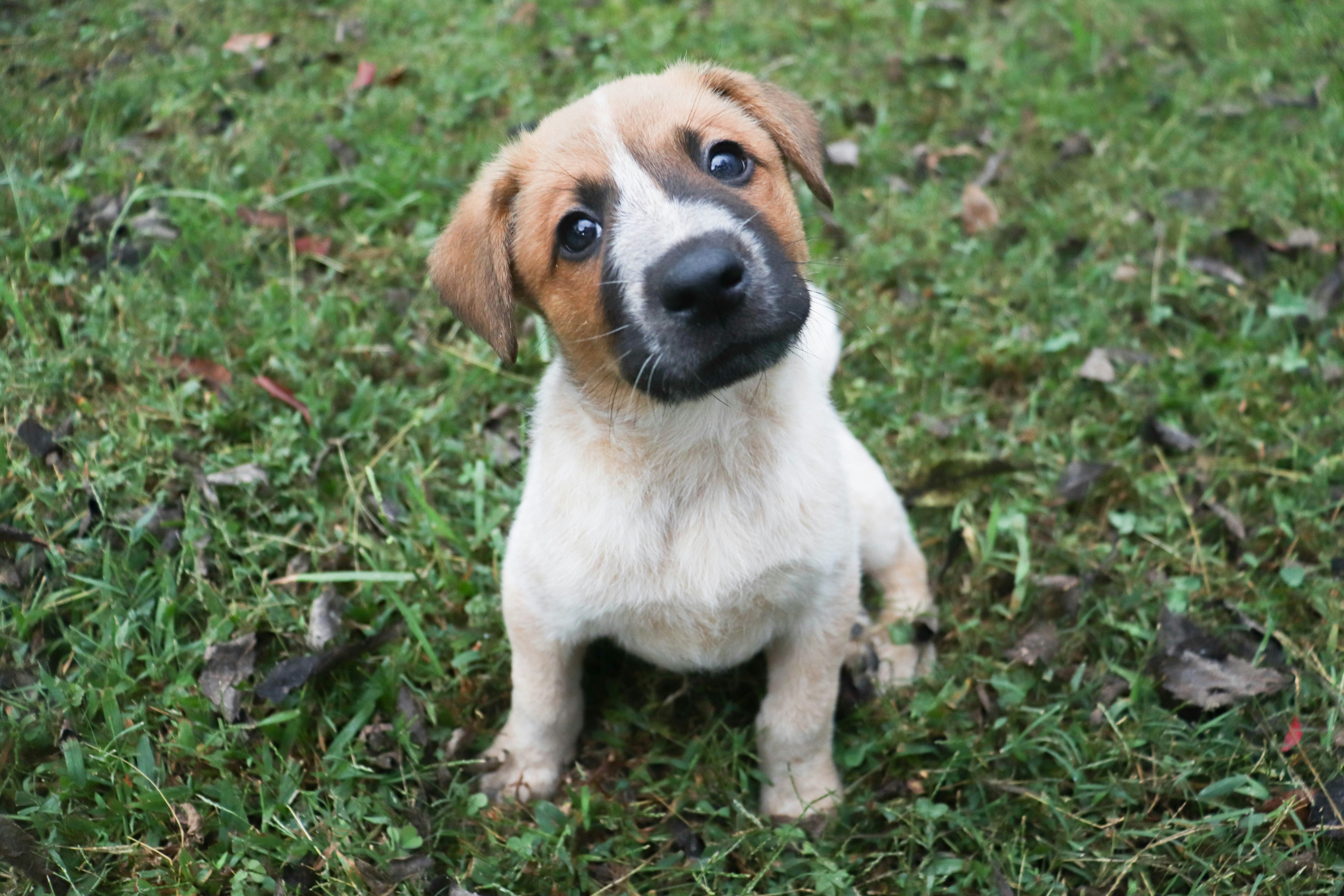 Photo by lroberts067