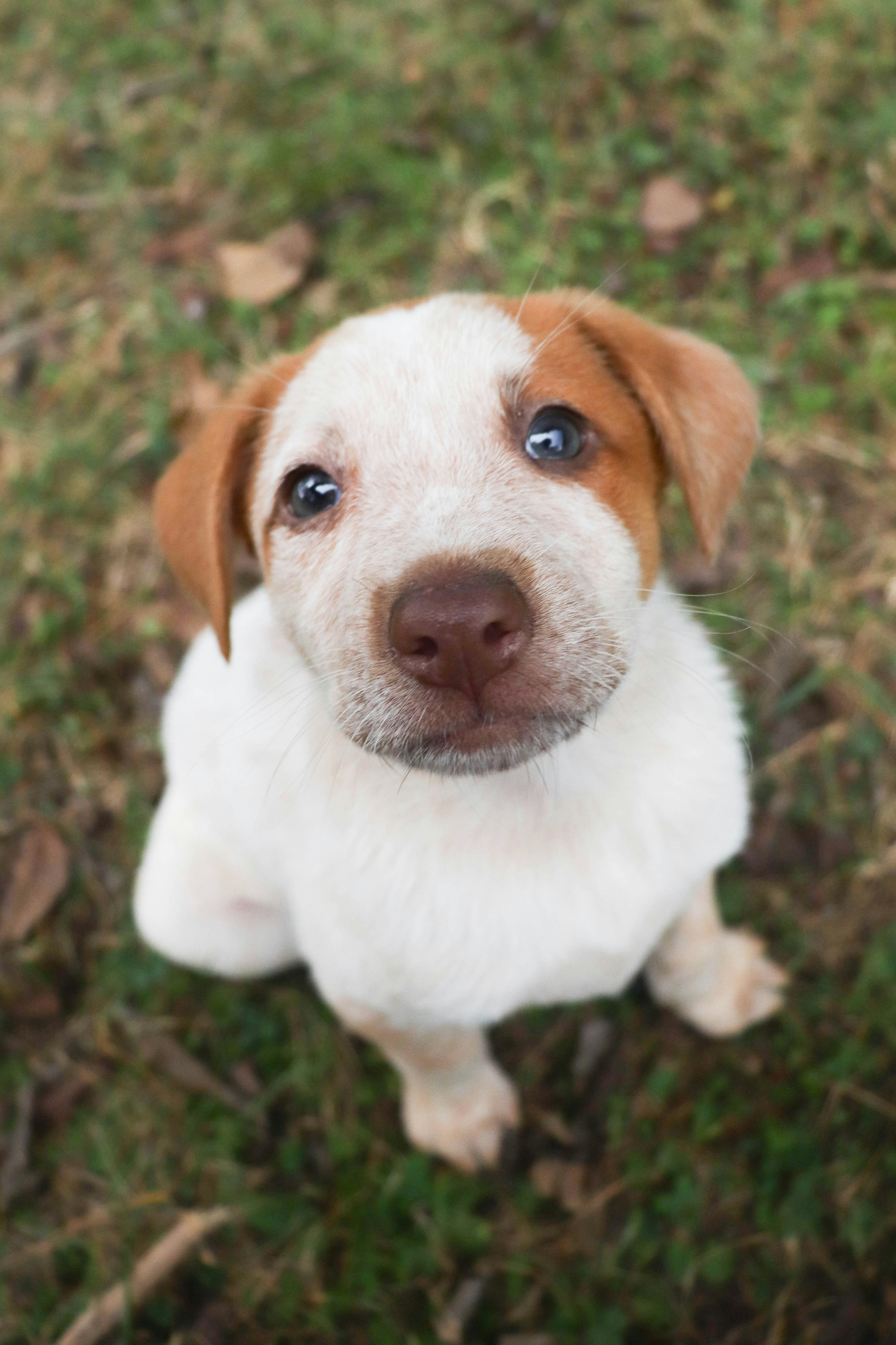 Photo by lroberts067