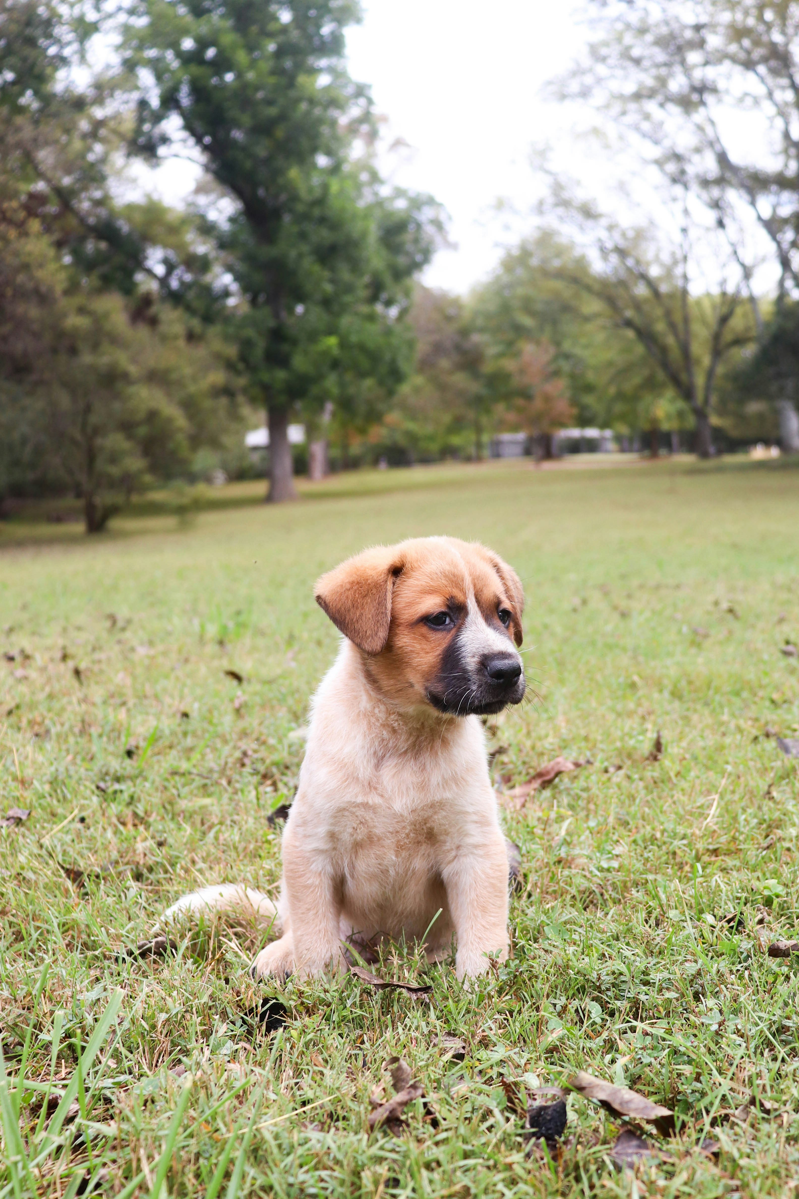 Photo by lroberts067