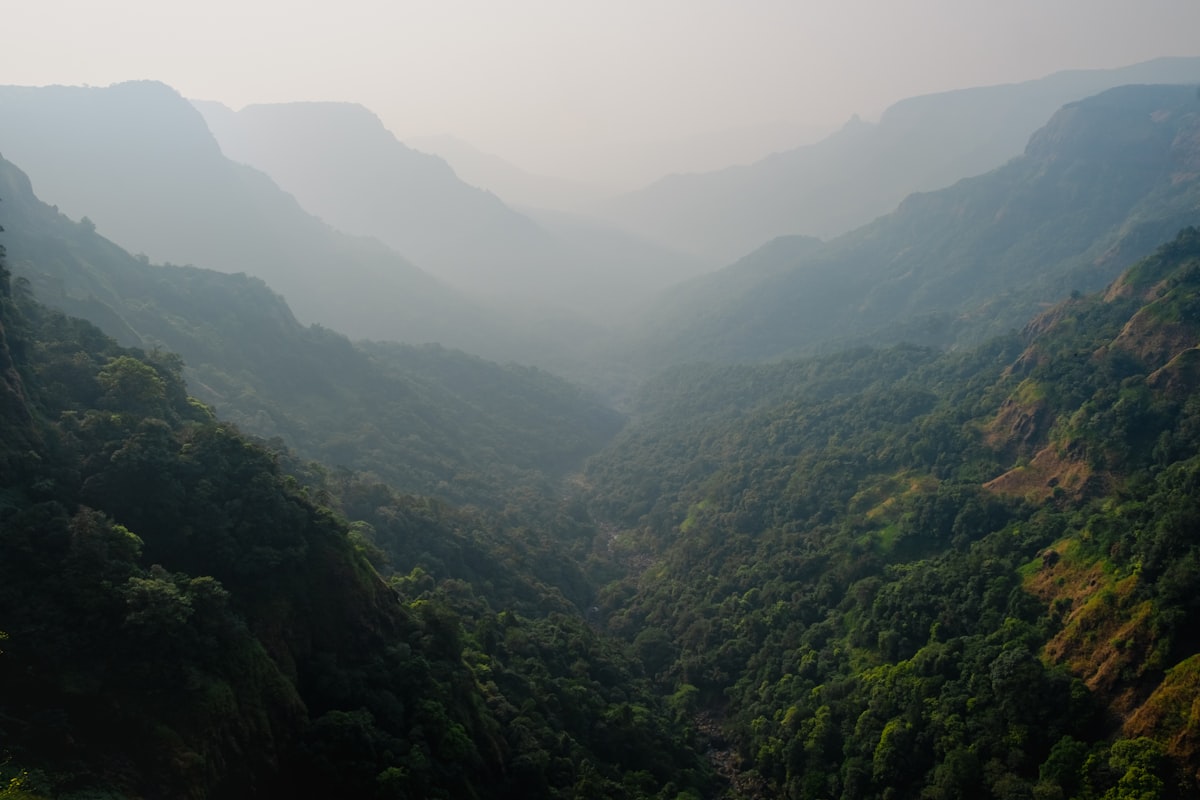 Heavenly Kolli Hills Escape