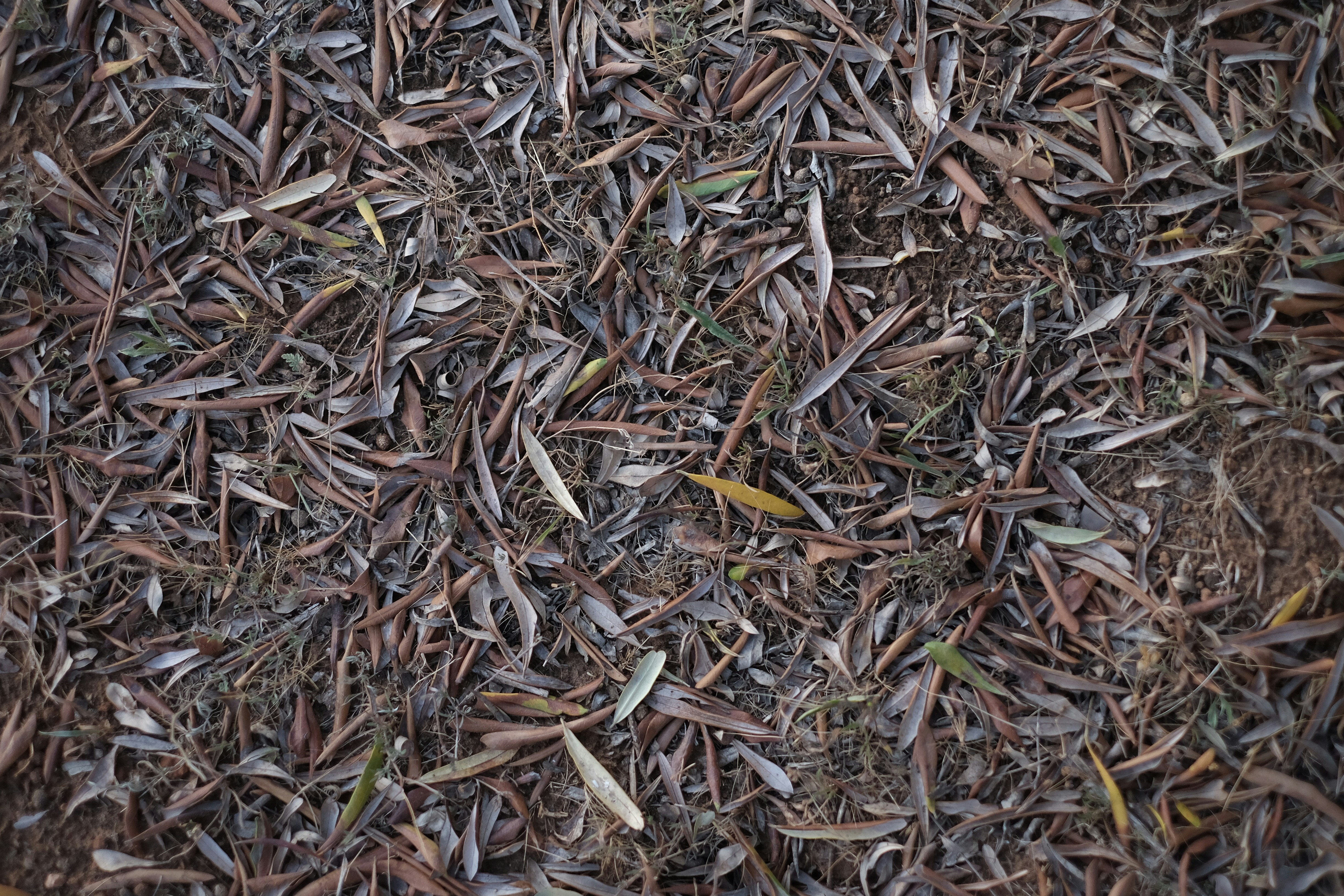 Photo by jonasgarcia