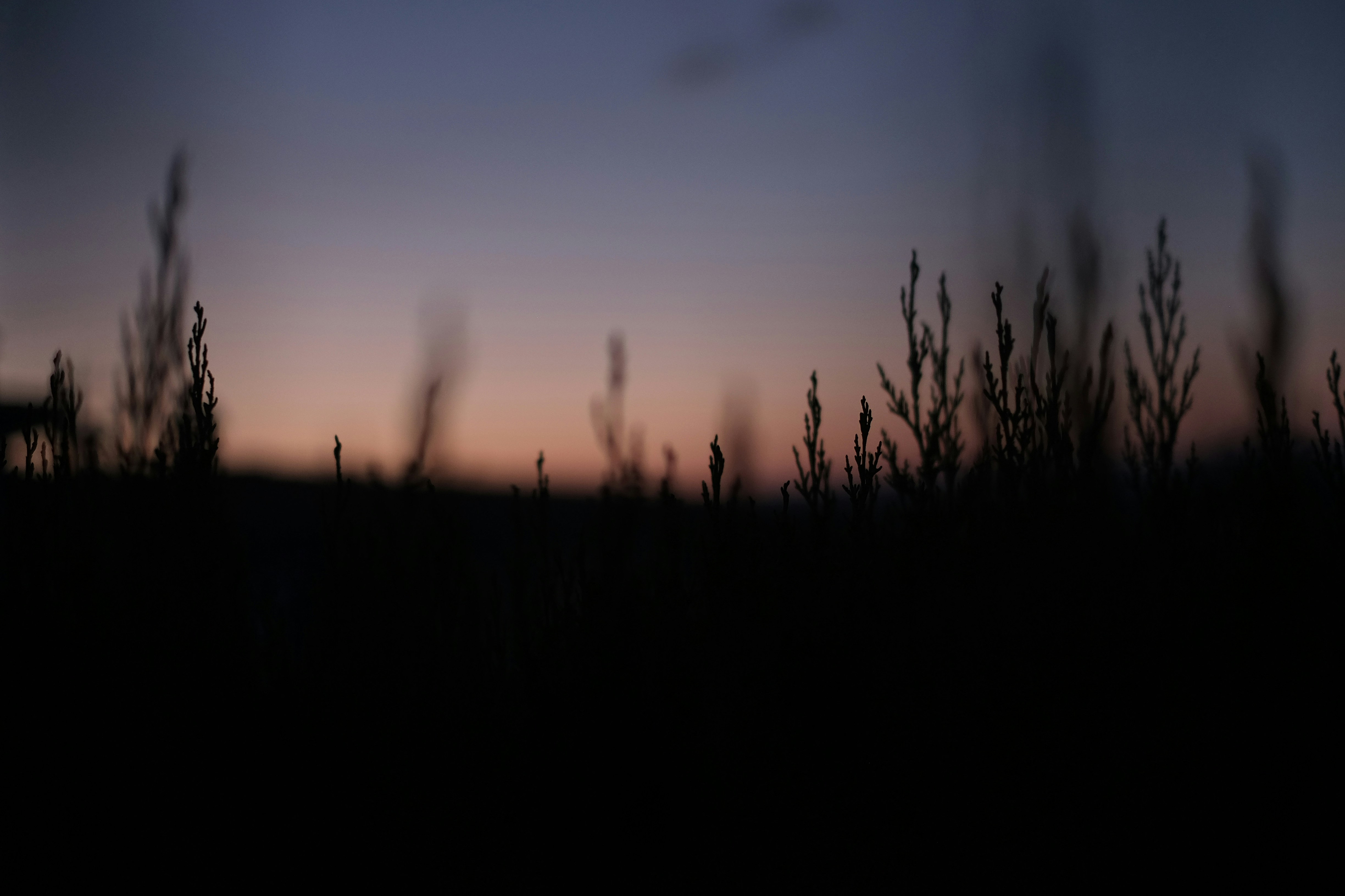 Photo by jonasgarcia