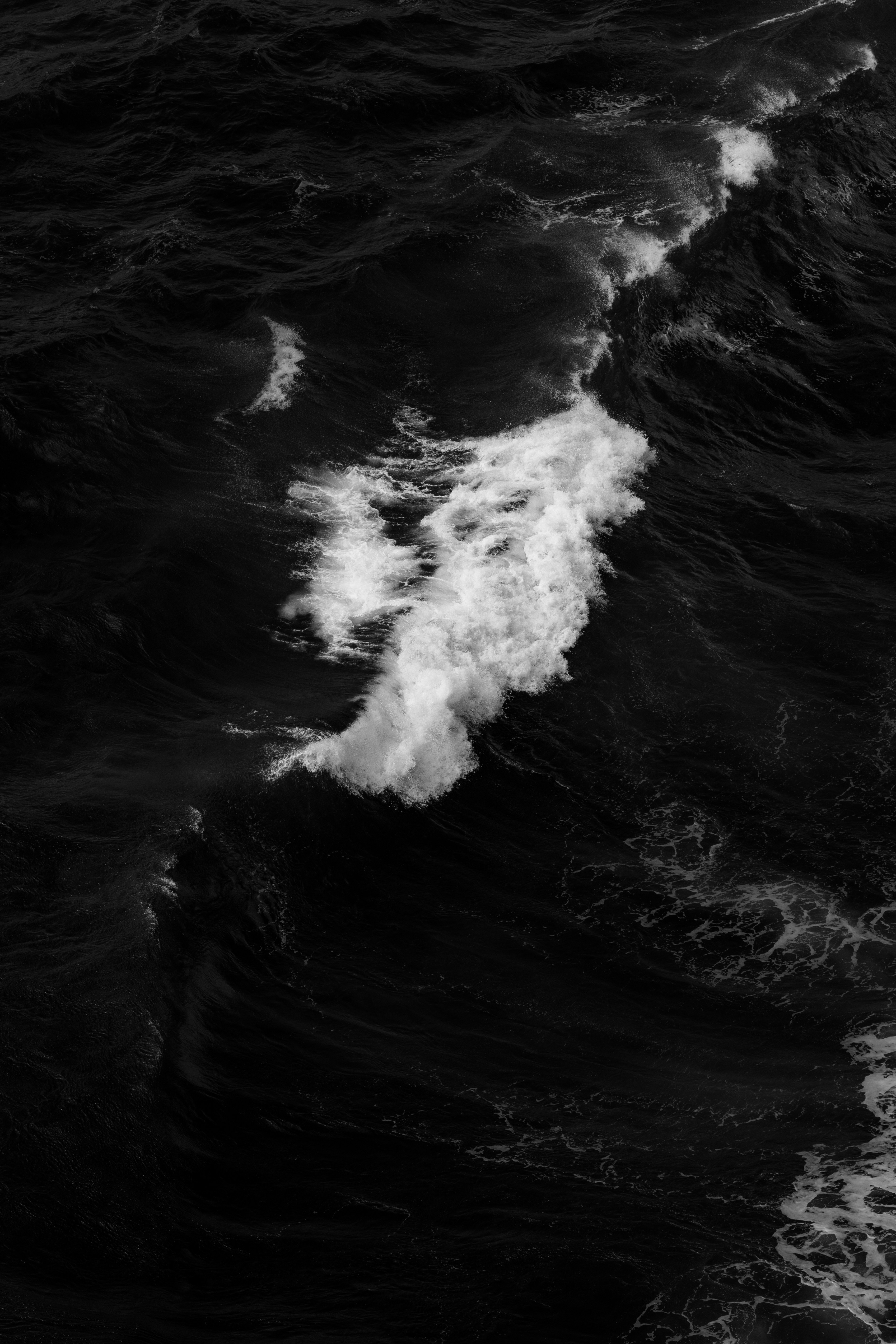 Photo by jonathanborba