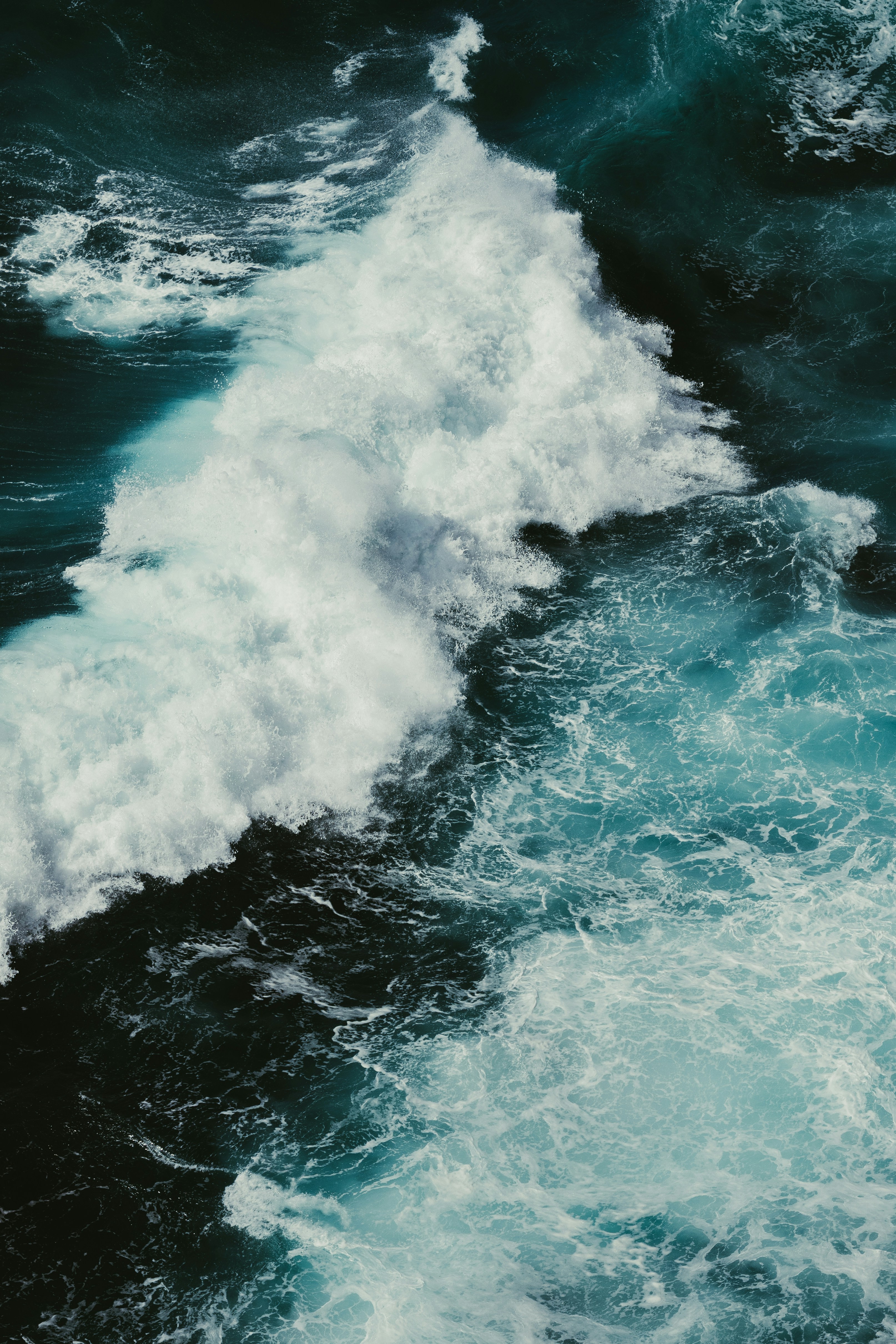 Photo by jonathanborba