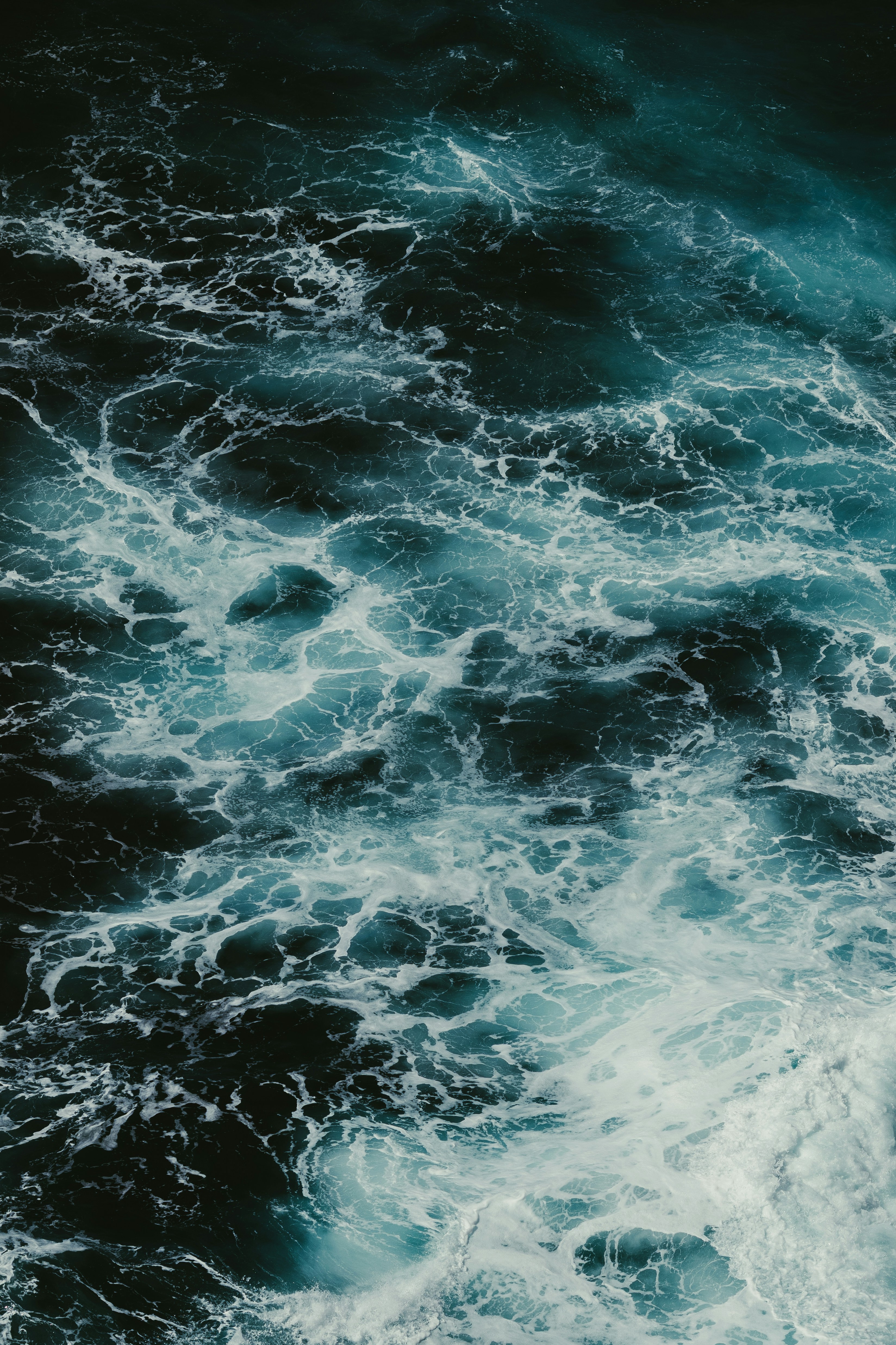 Photo by jonathanborba