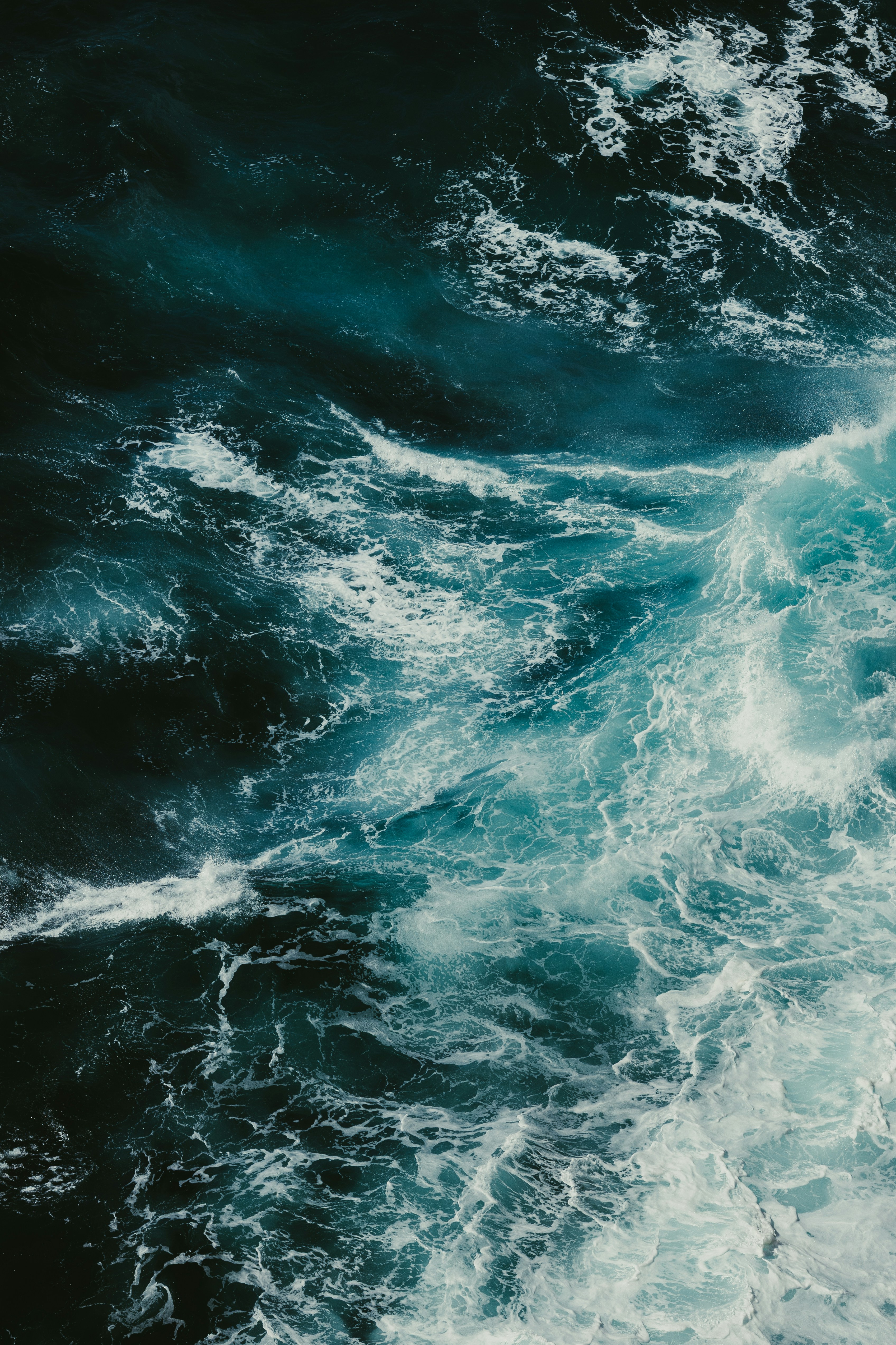 Photo by jonathanborba