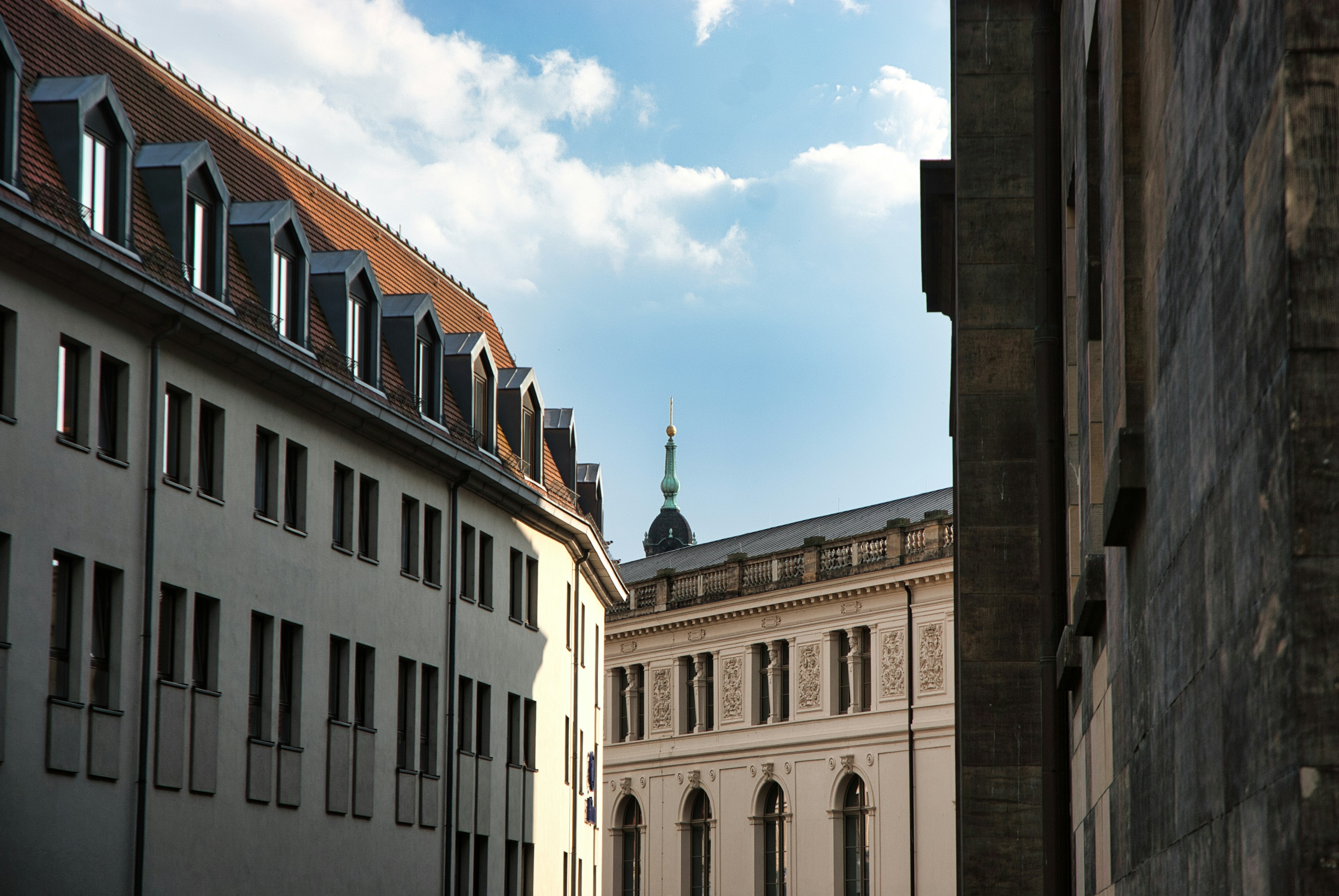 Photo by paws_and_prints