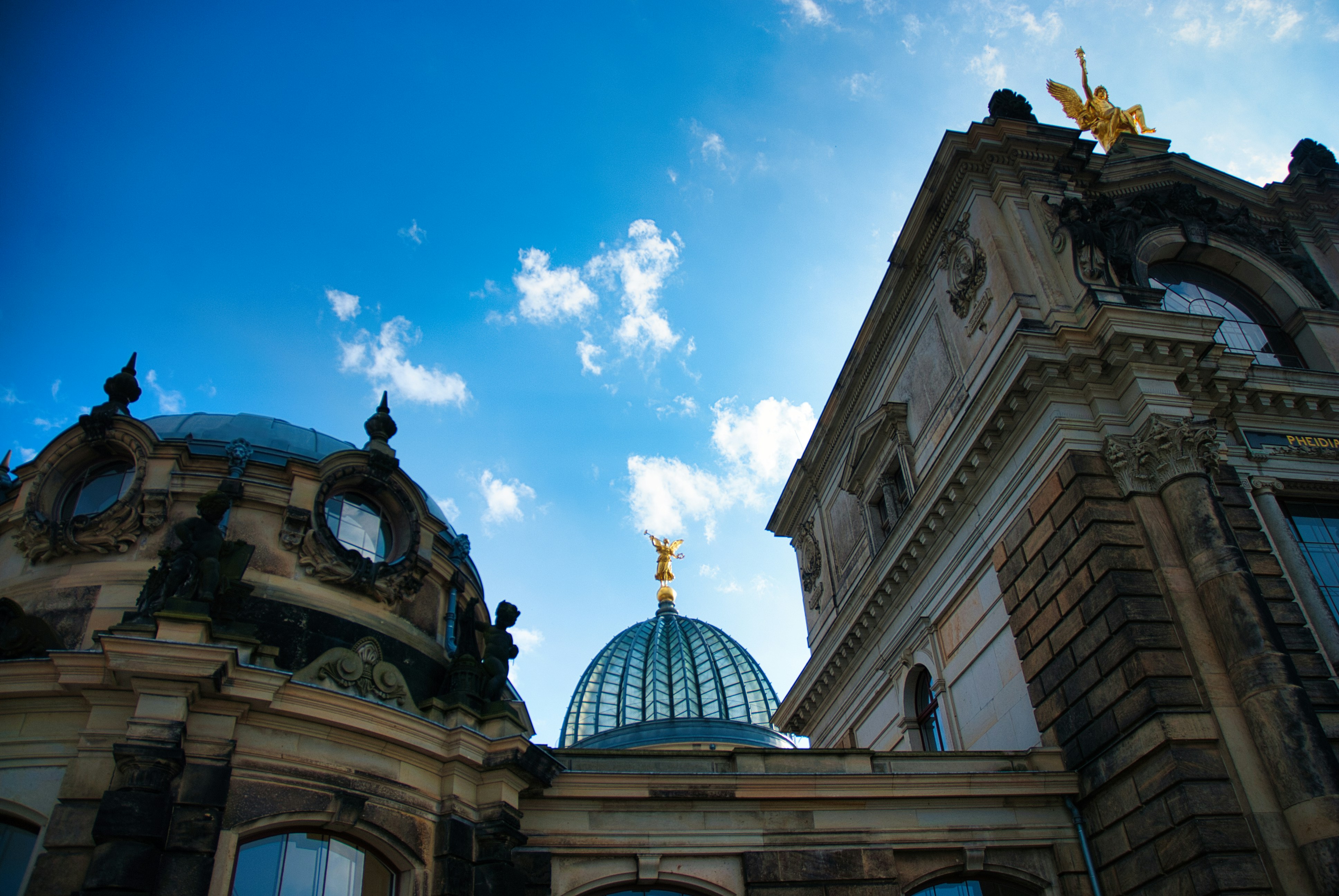 Photo by paws_and_prints