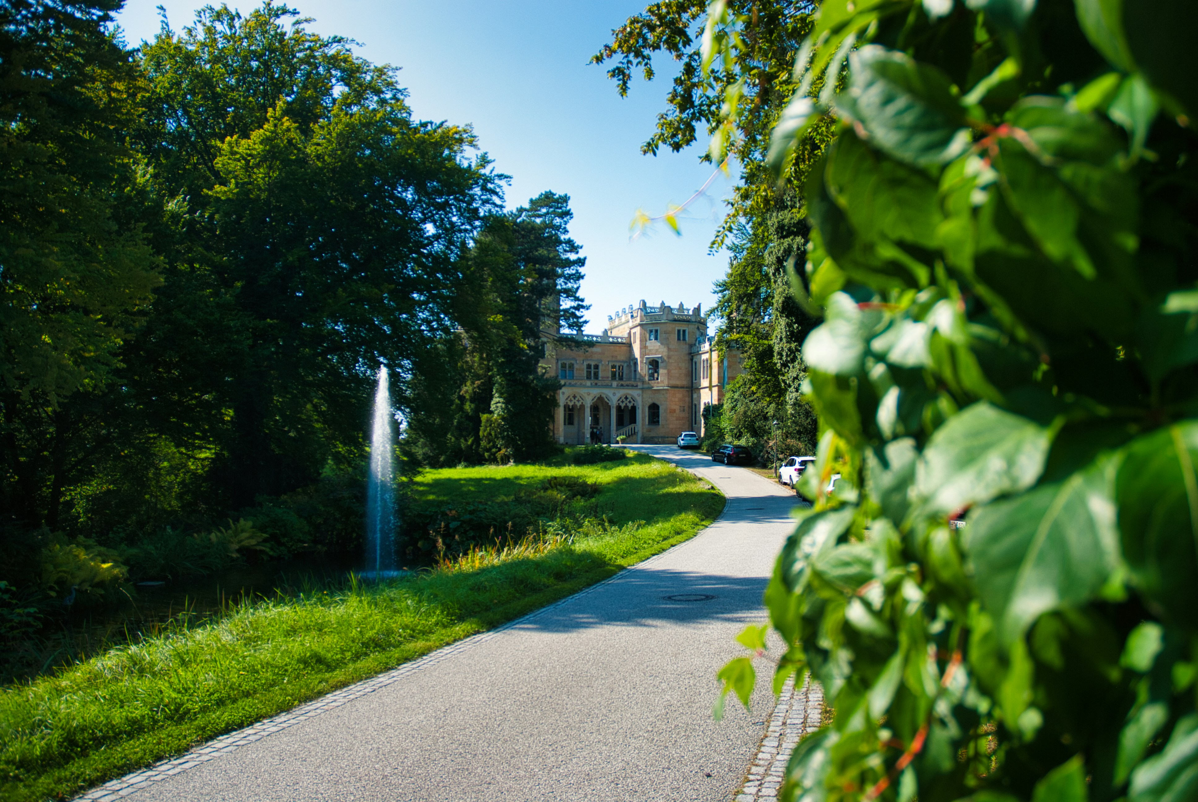 Photo by paws_and_prints