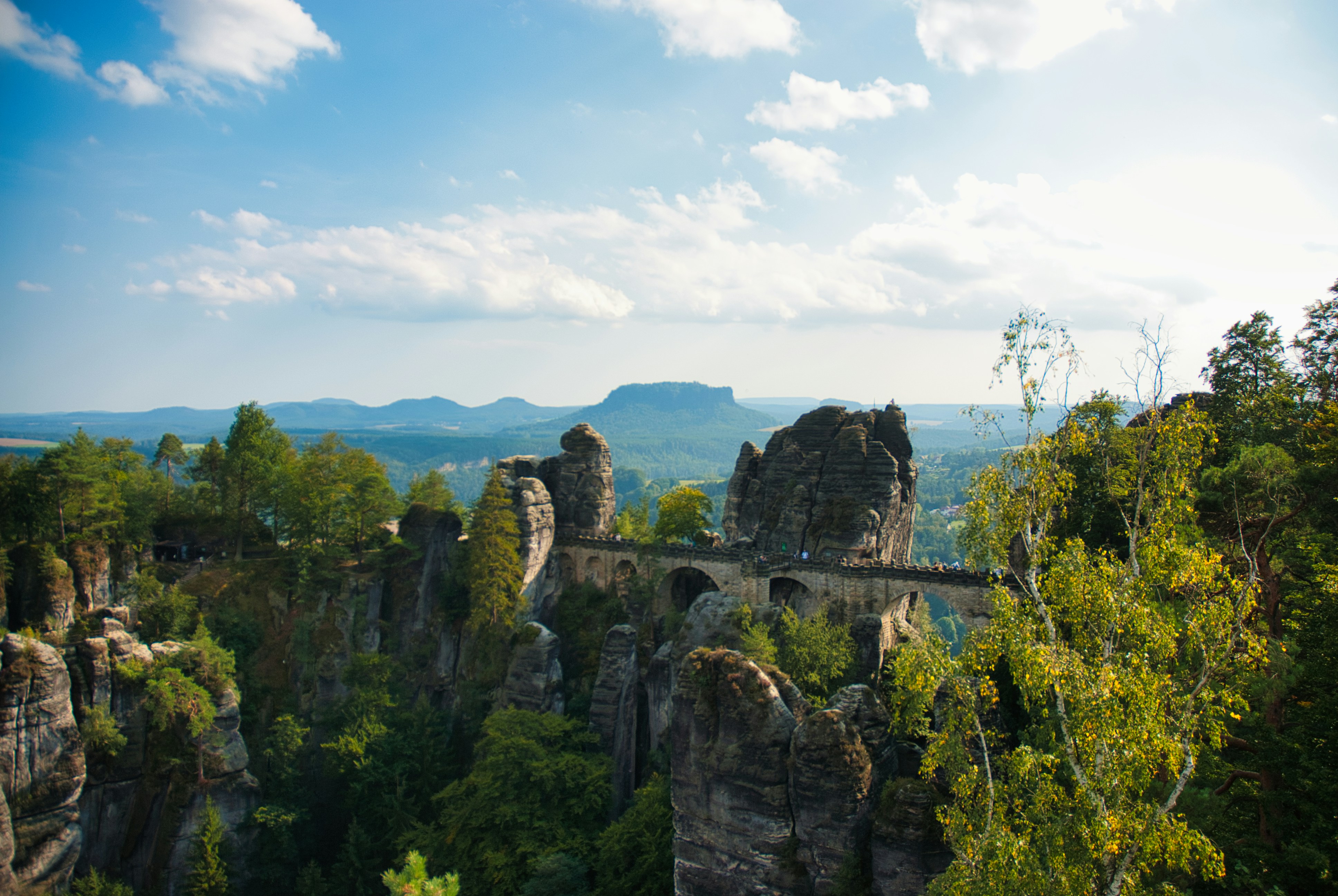 Photo by paws_and_prints