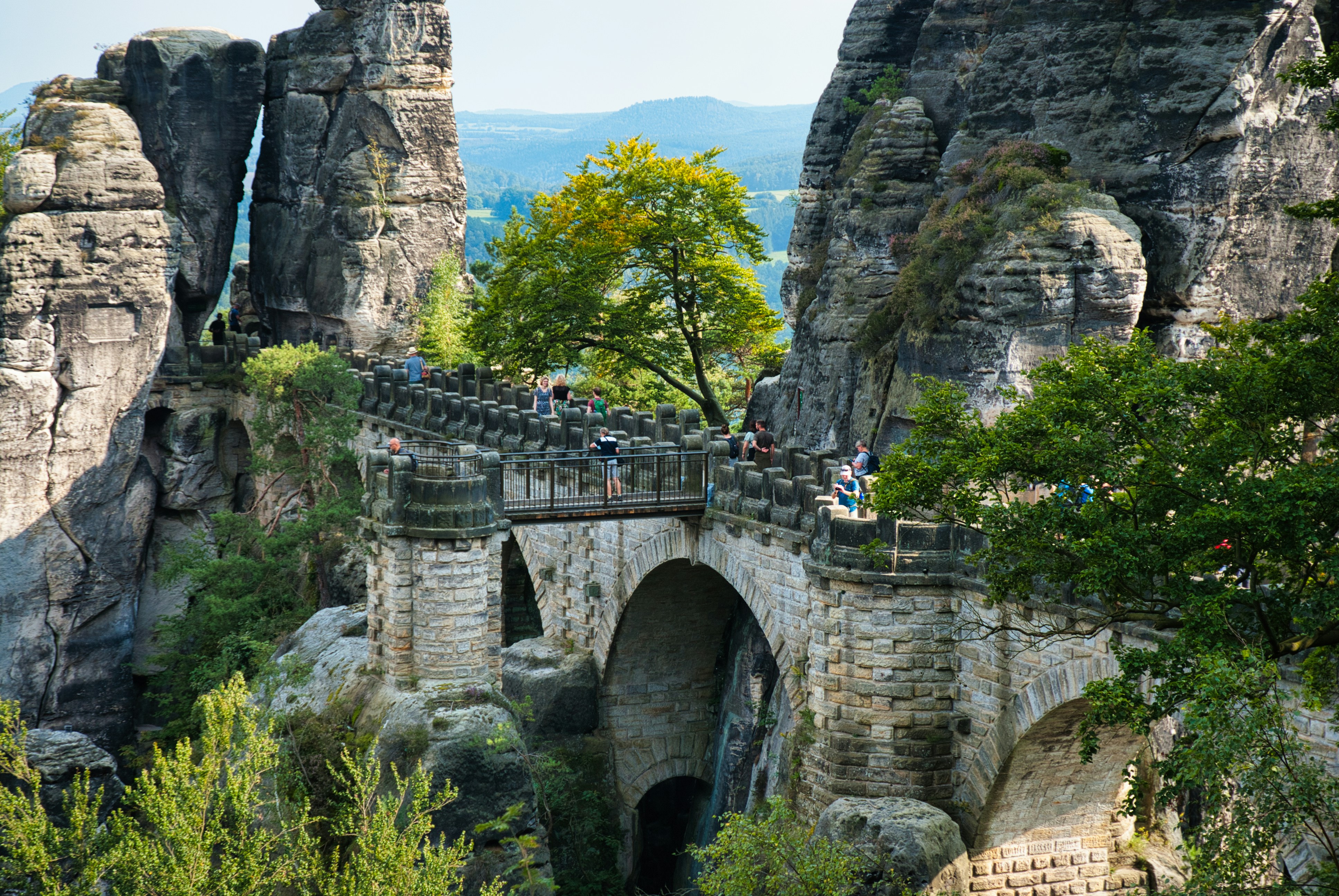 Photo by paws_and_prints