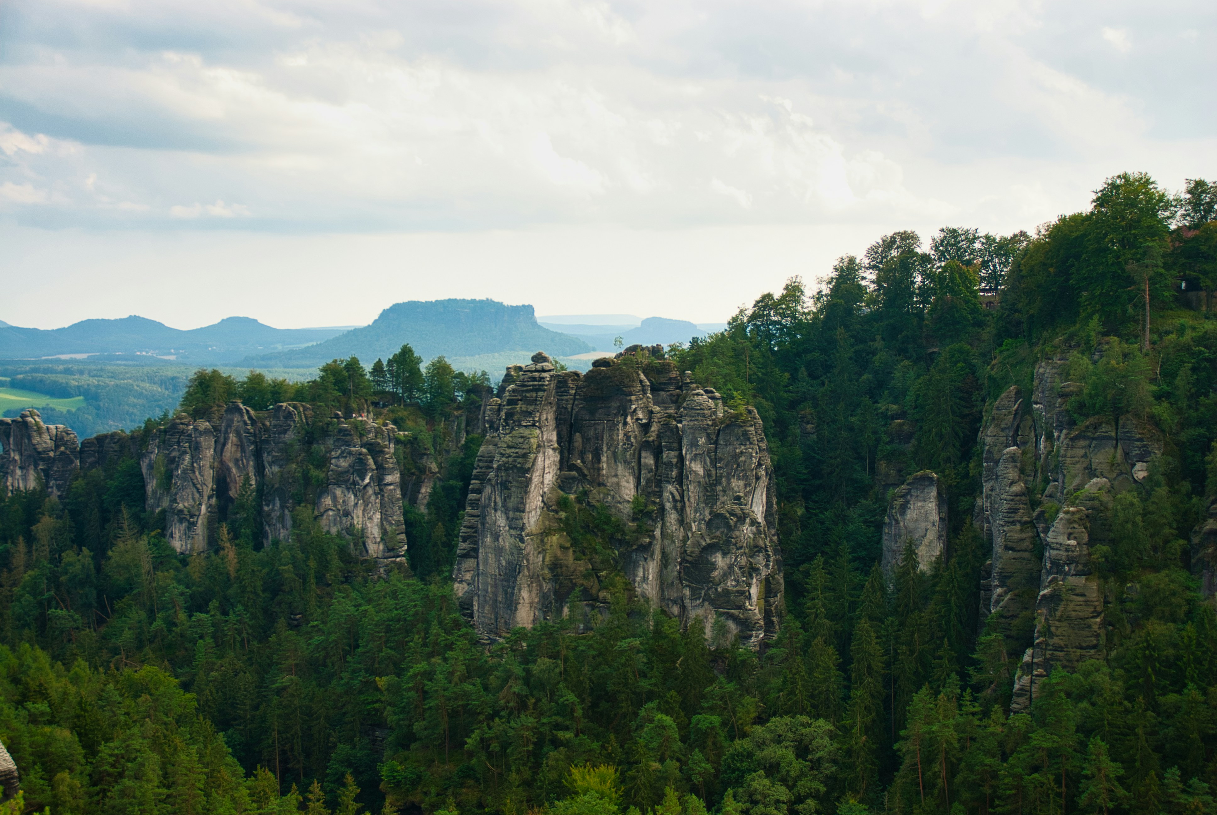 Photo by paws_and_prints