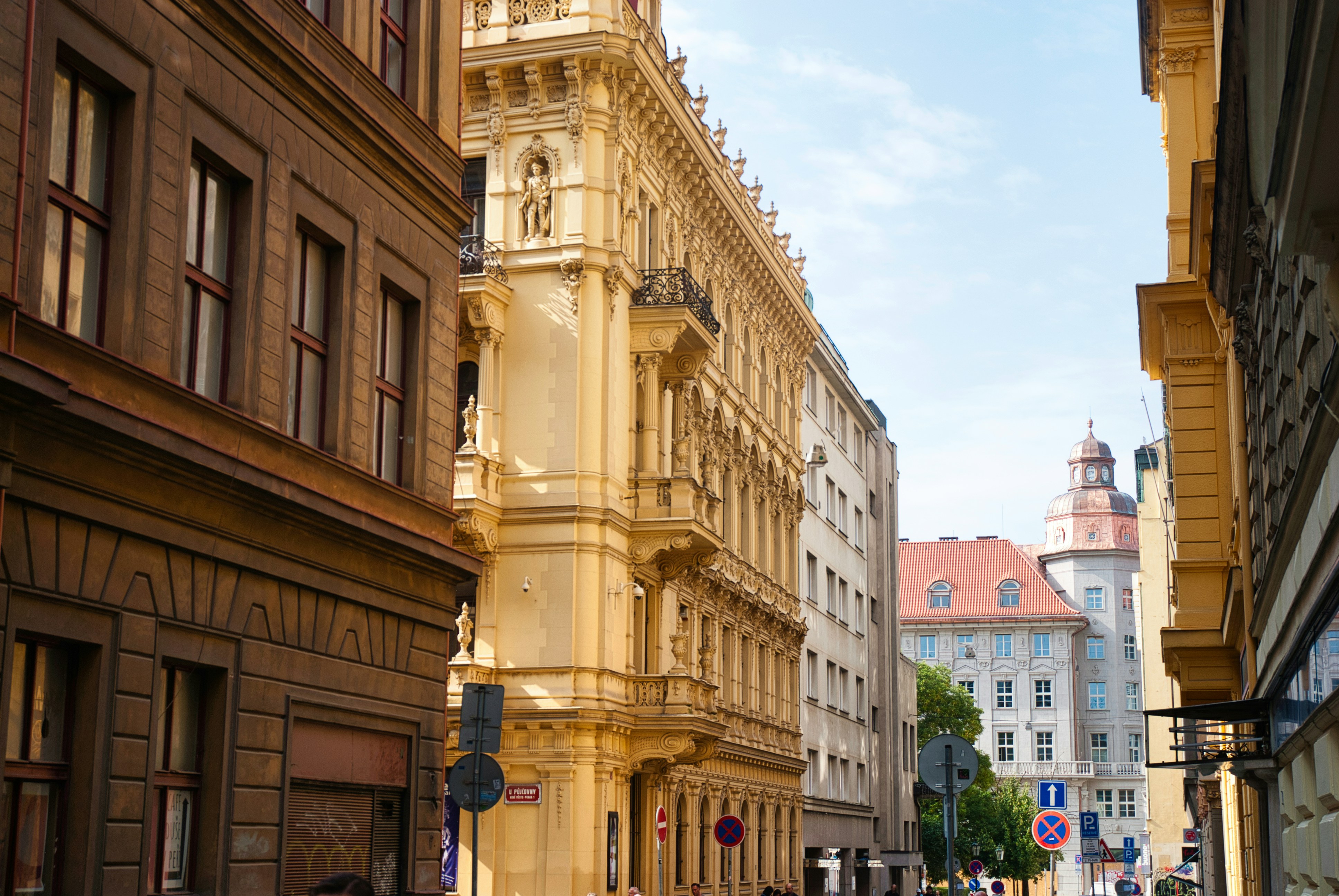 Photo by paws_and_prints