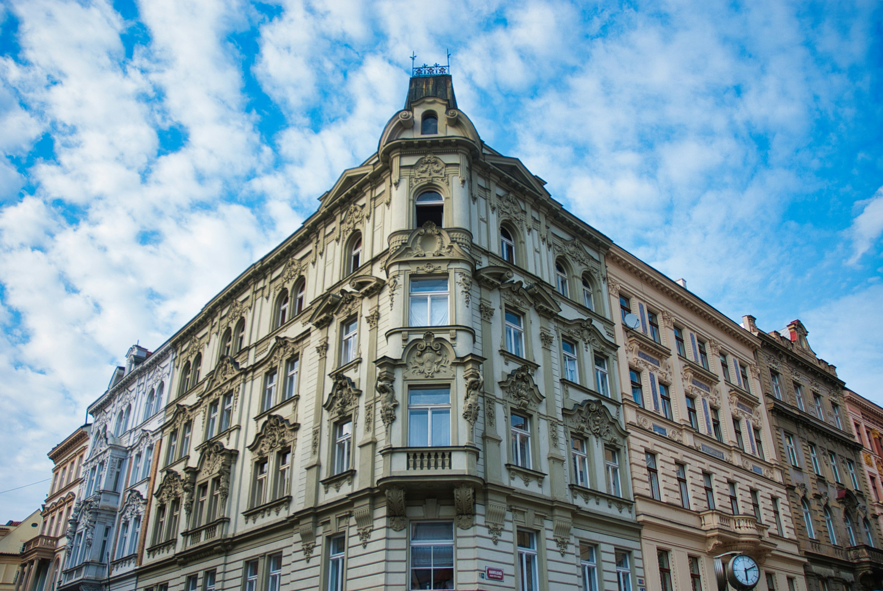 Photo by paws_and_prints