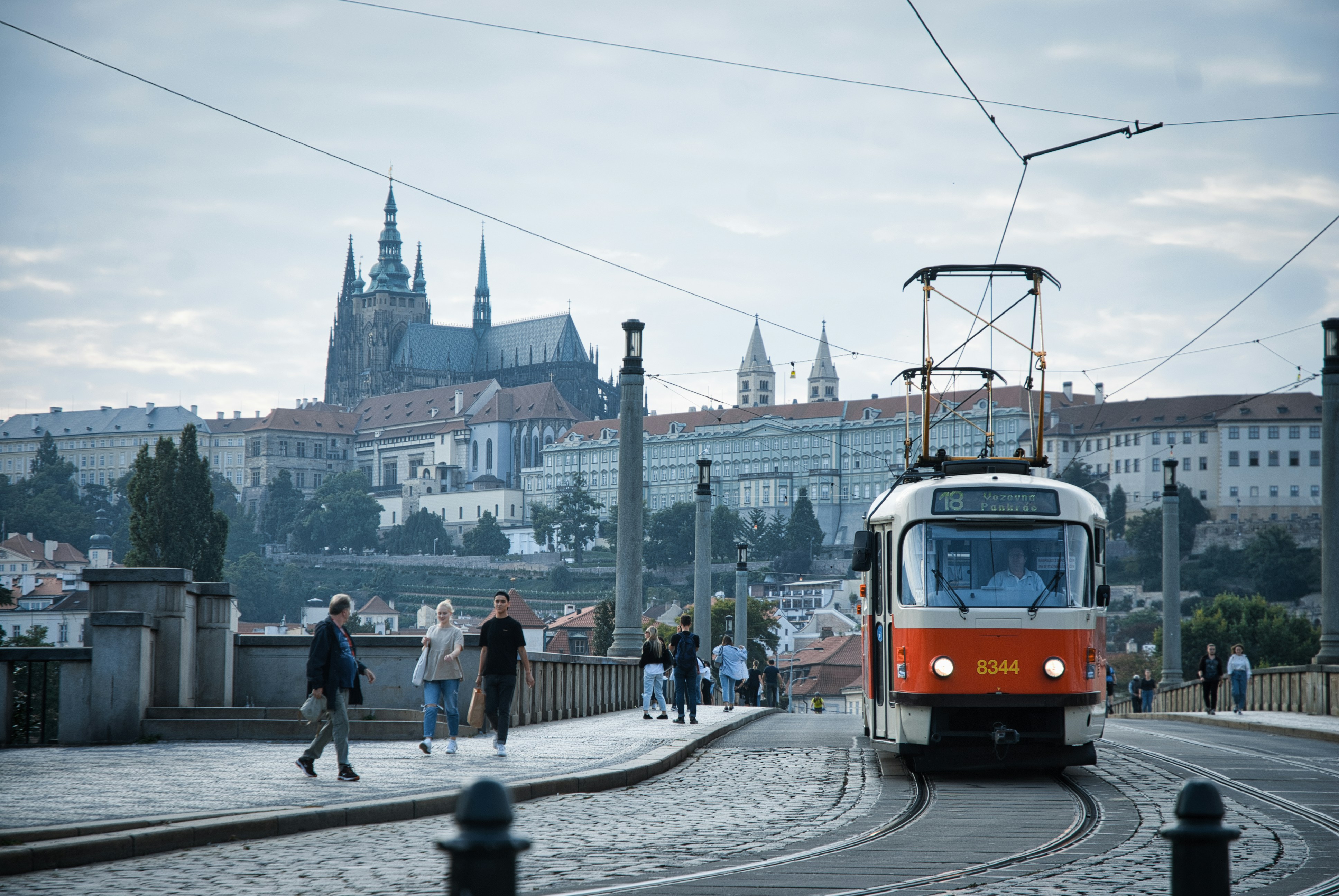 Image by 𝕡𝕒𝕨𝕤 𝕒𝕟𝕕 𝕡𝕣𝕚𝕟𝕥𝕤 via Unsplash