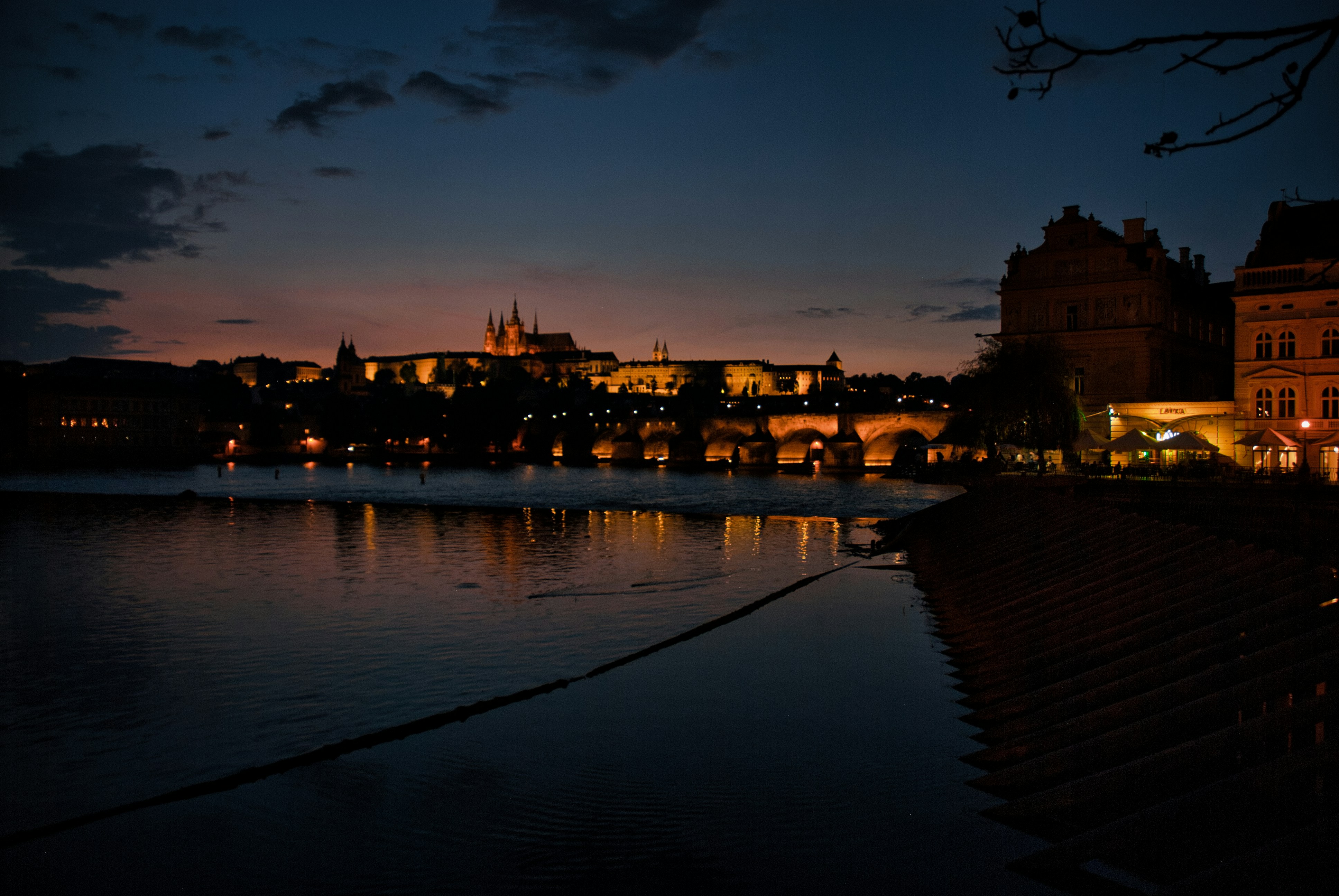 Photo by paws_and_prints