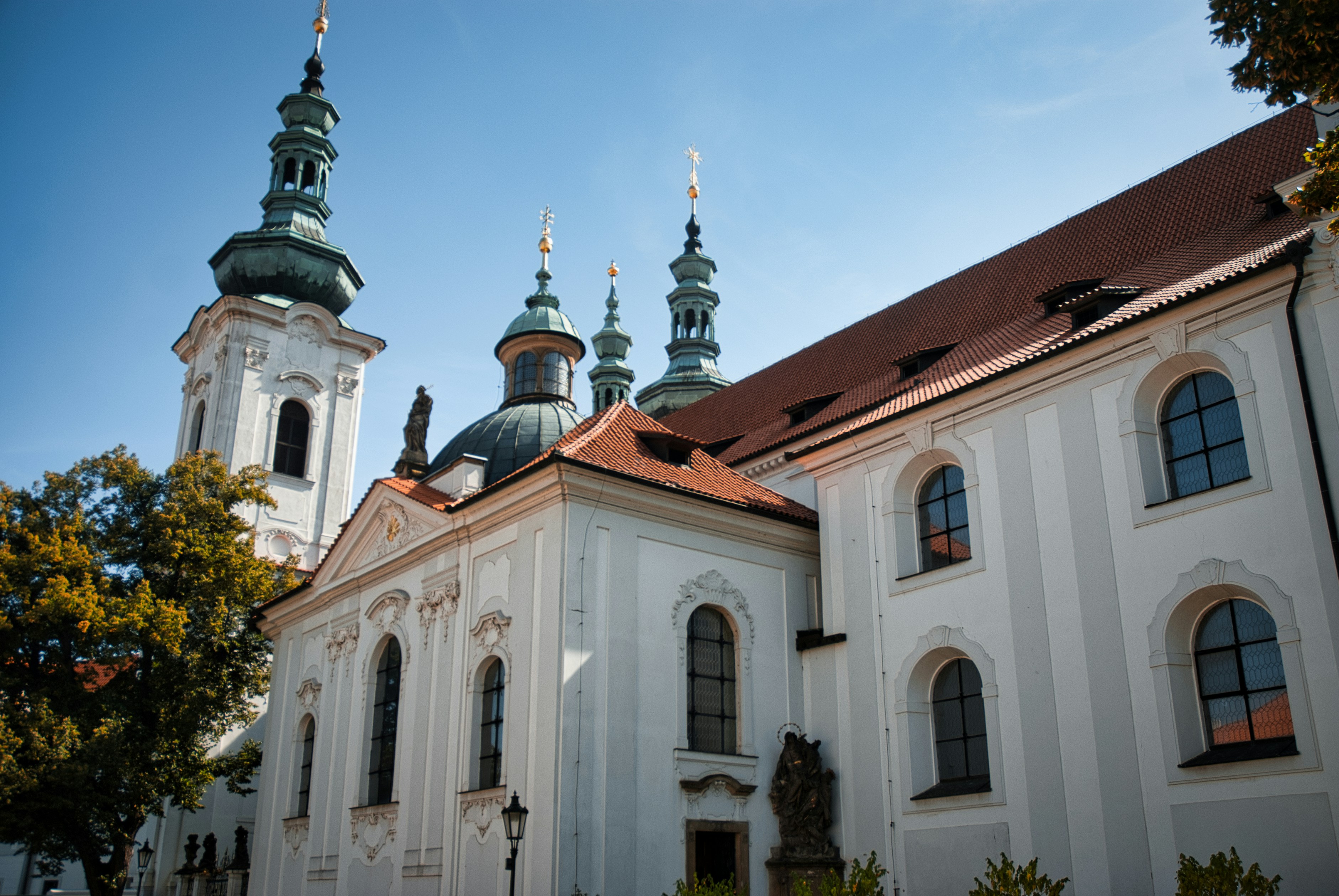 Photo by paws_and_prints