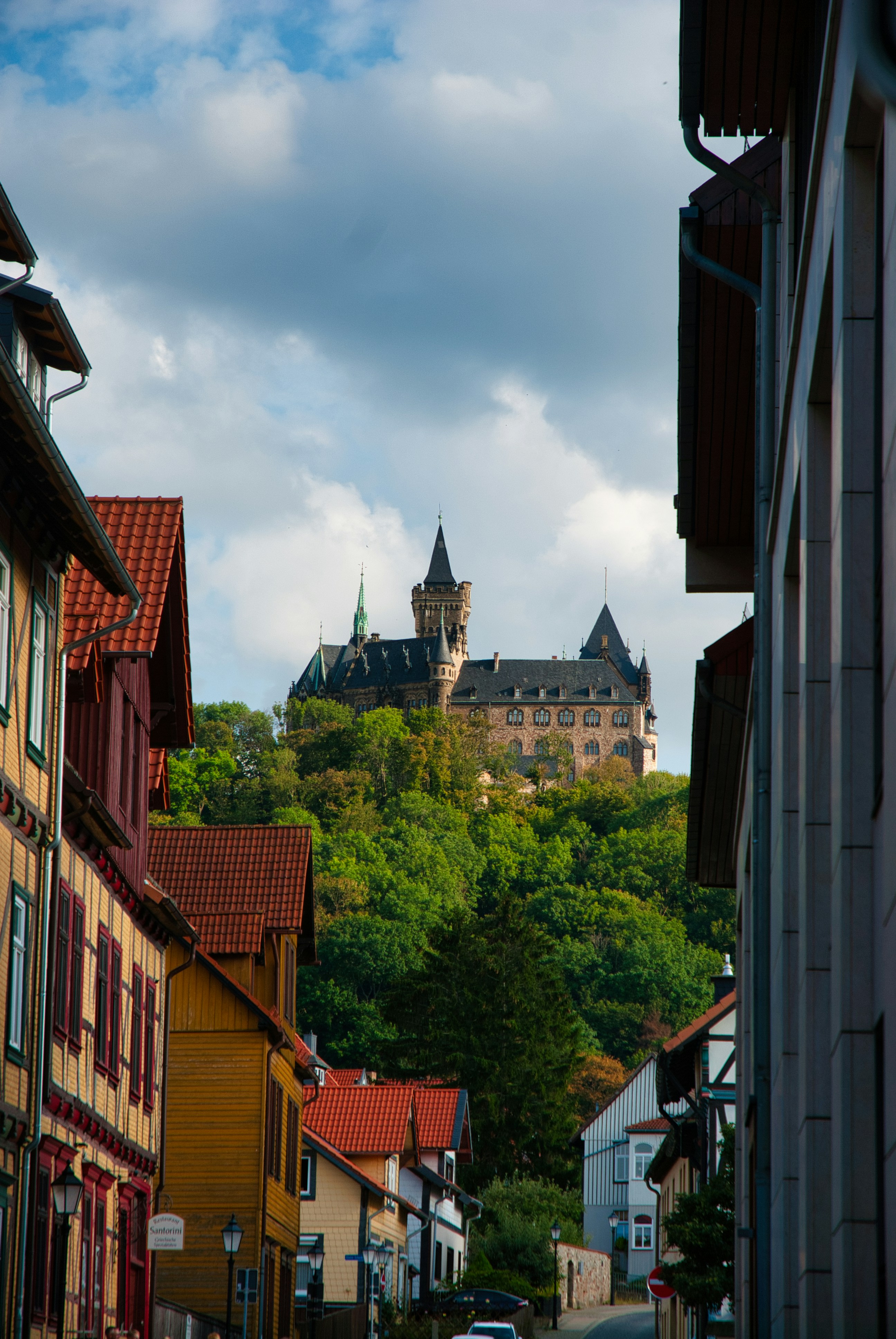 Photo by paws_and_prints