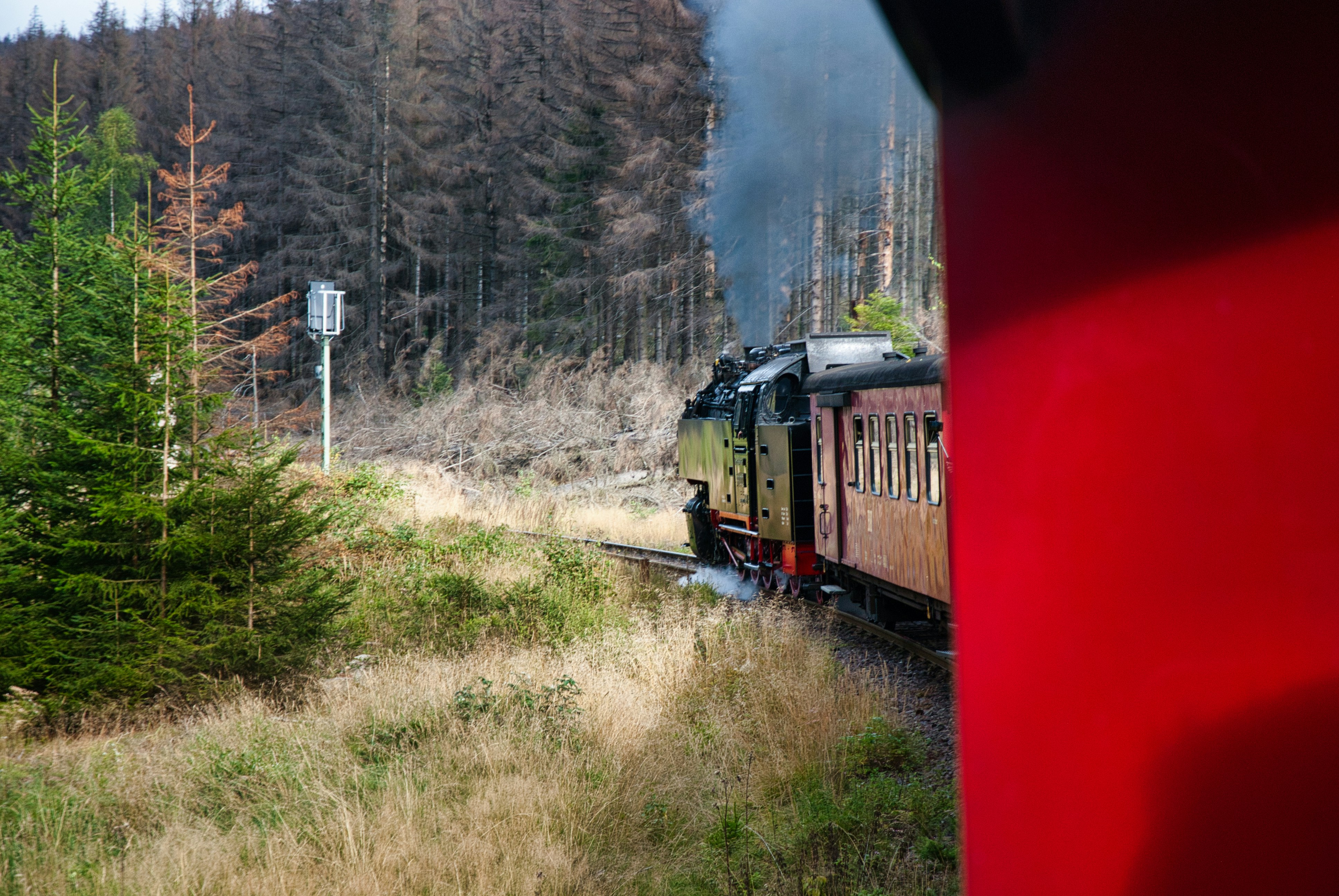 Photo by paws_and_prints