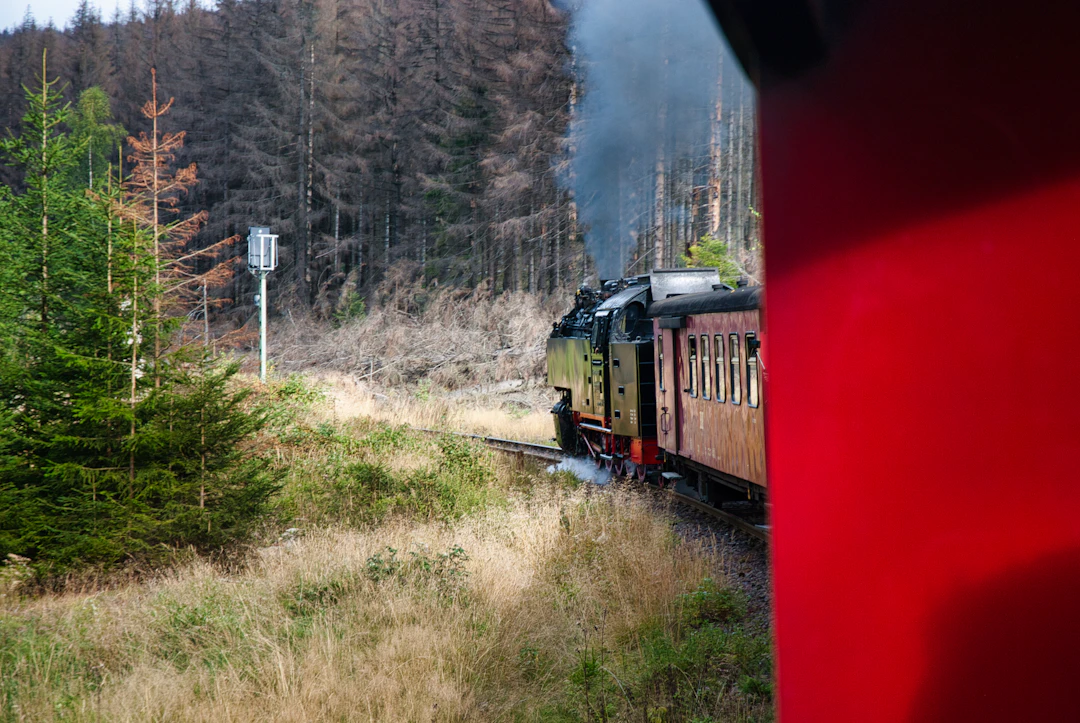 13-Day Africa & Oceania Rail Itinerary | Family Guide