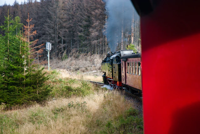 13-Day Africa & Oceania Rail Itinerary | Family Guide