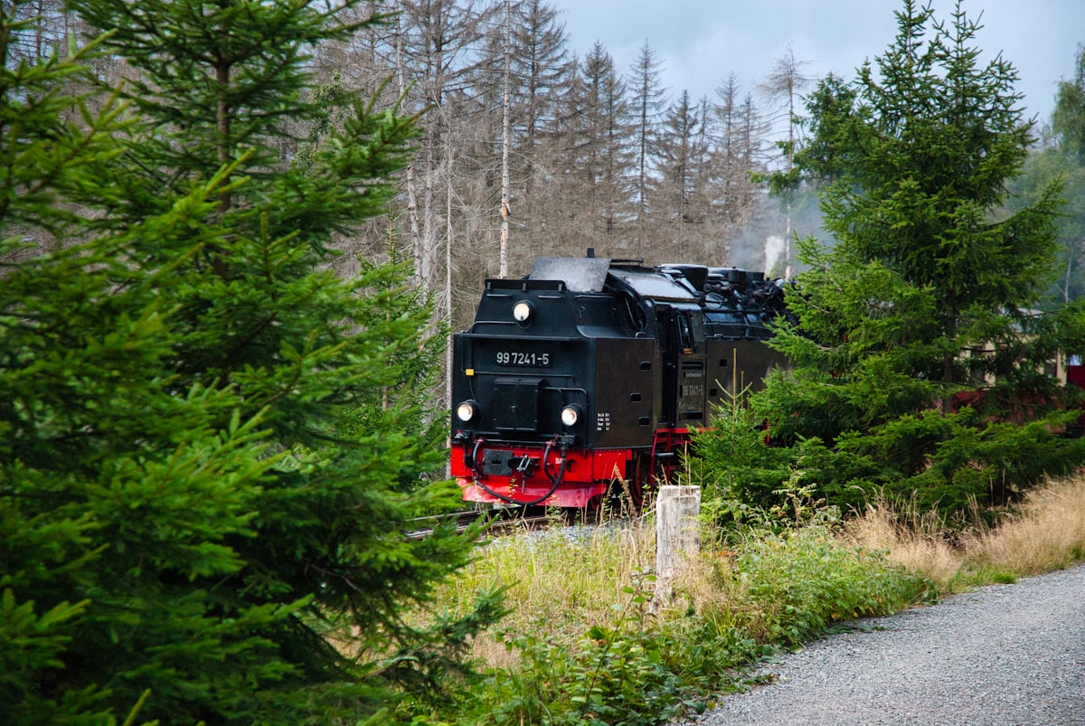 Вузькоколійна залізниця Буковини: як дістатися і що подивитися уздовж маршруту