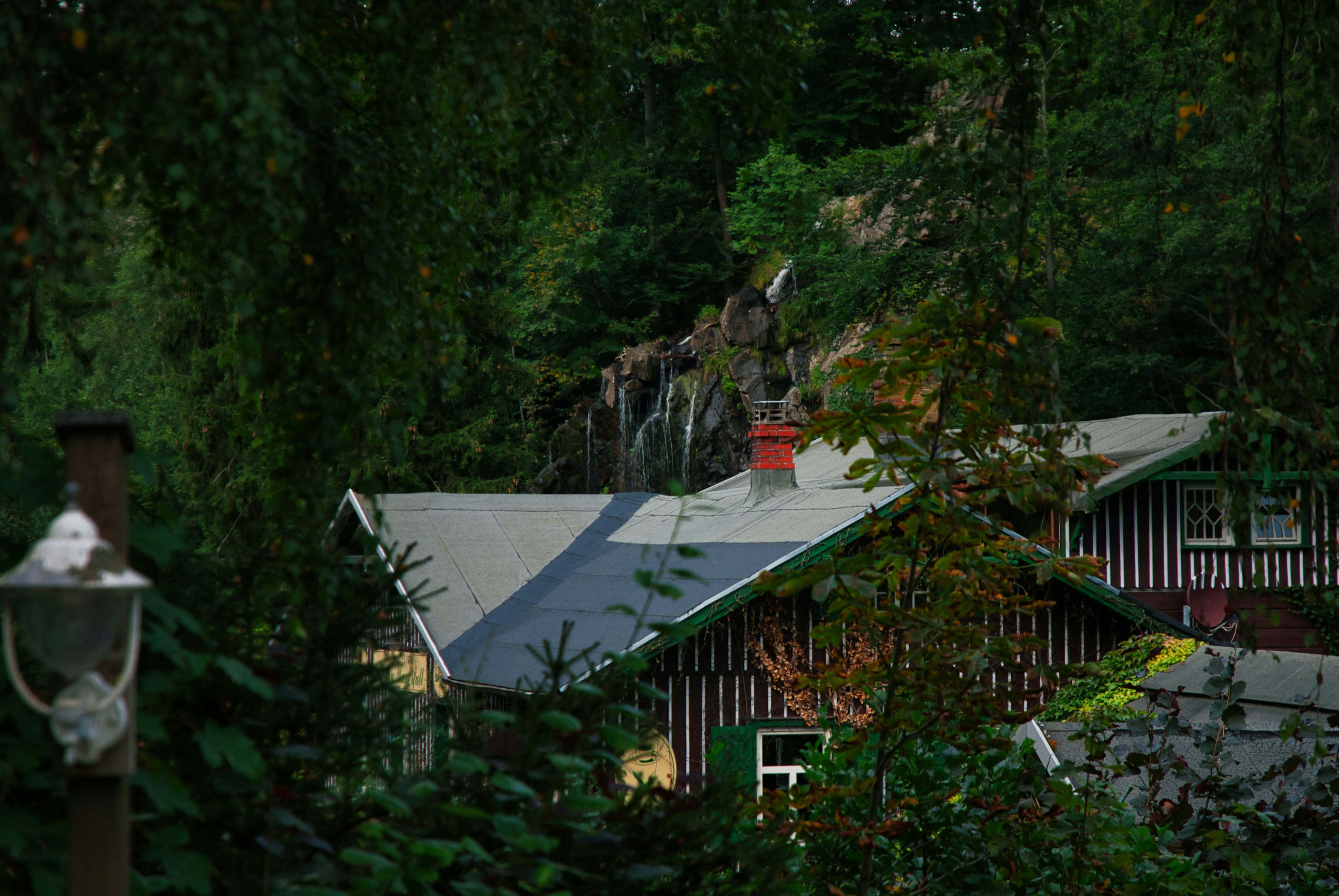 Photo by paws_and_prints