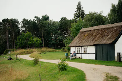 Cottage with a tidy garden